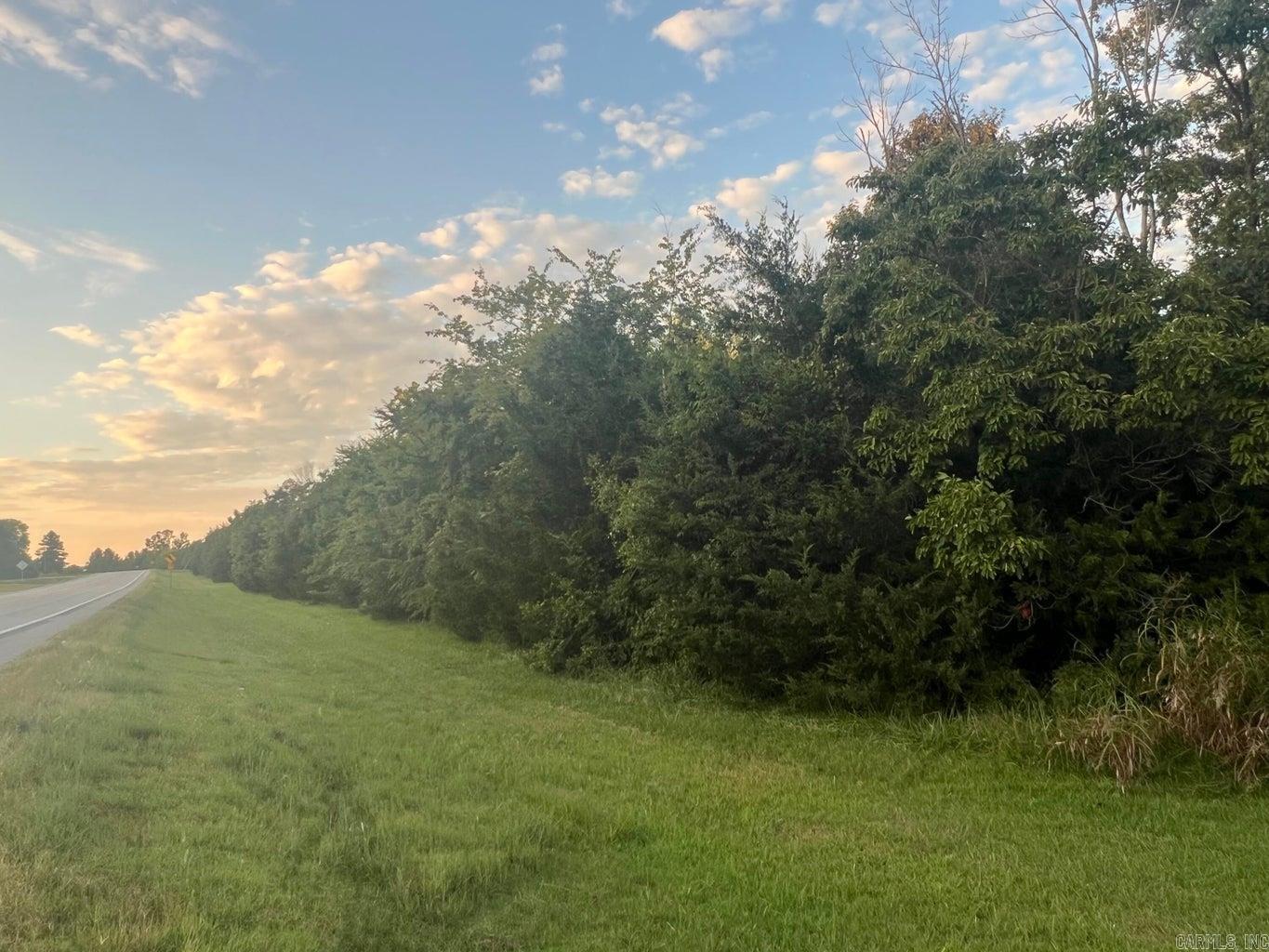 Photo 2 - Vacant Land for sale – 0  Hwy 167   Cave City, AR