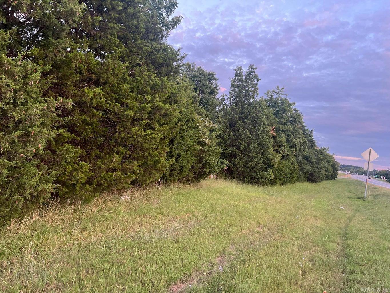 Photo 2 - Vacant Land for sale – 00  Hwy 167   Cave City, AR