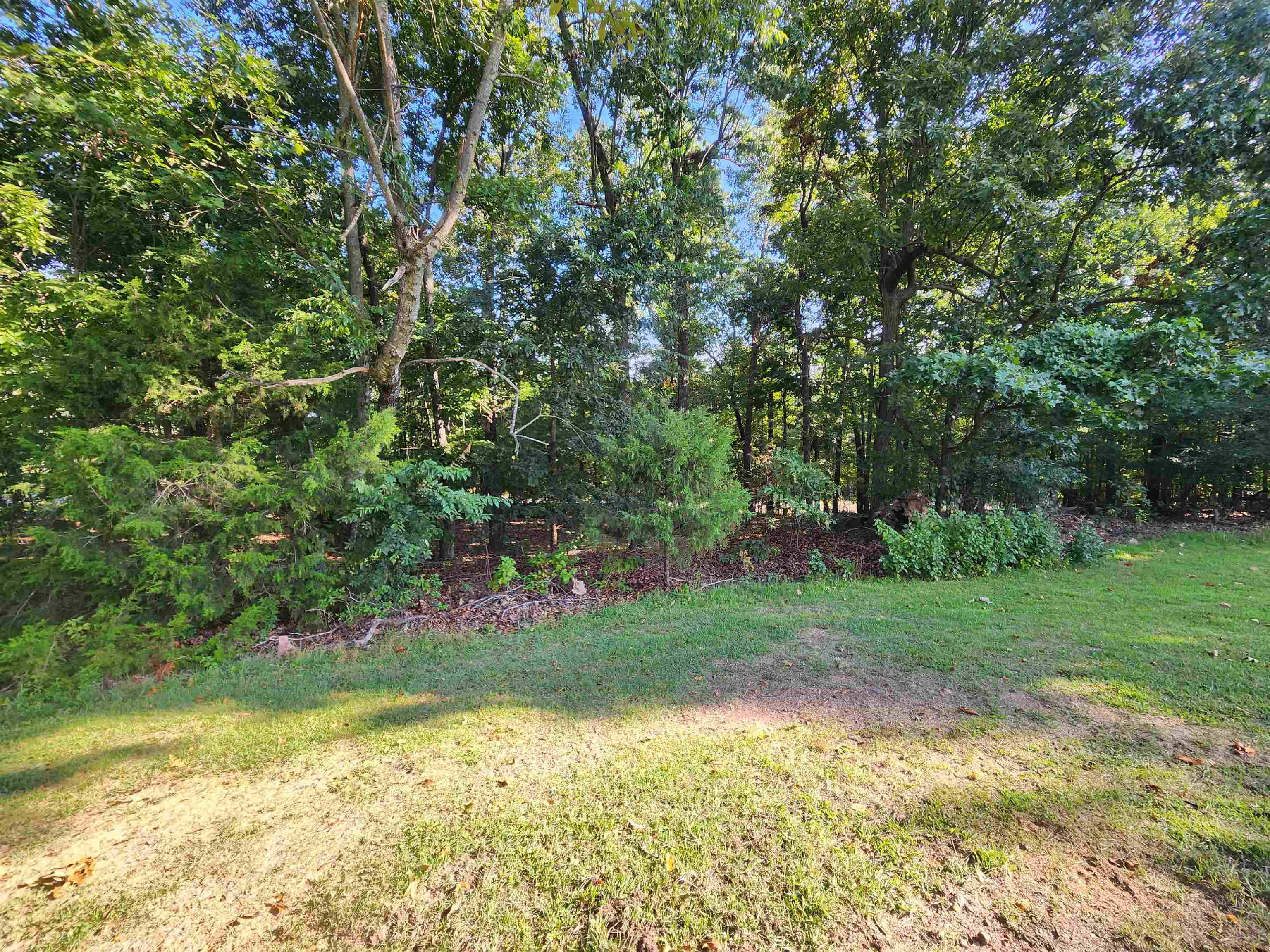 Photo 2 - Vacant Land for sale –   Katsina   Cherokee Village, AR