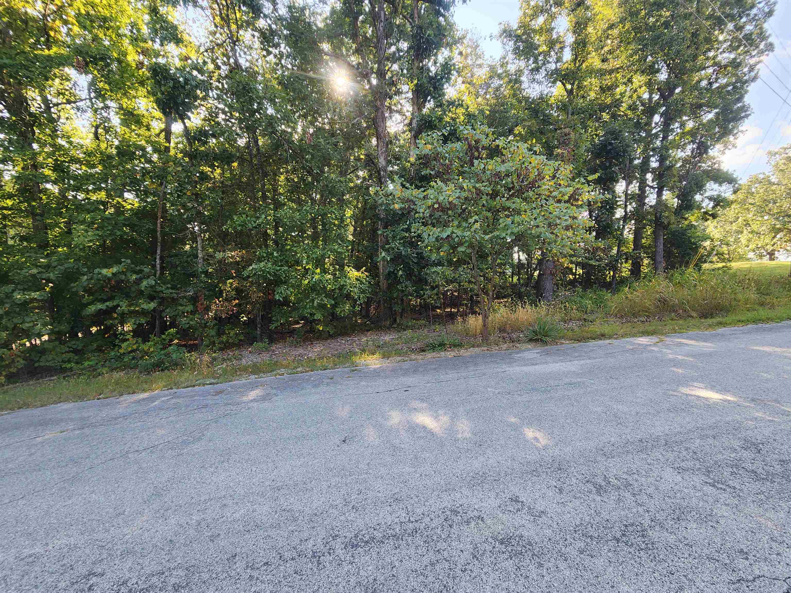 Photo 12 - Vacant Land for sale –   Katsina   Cherokee Village, AR