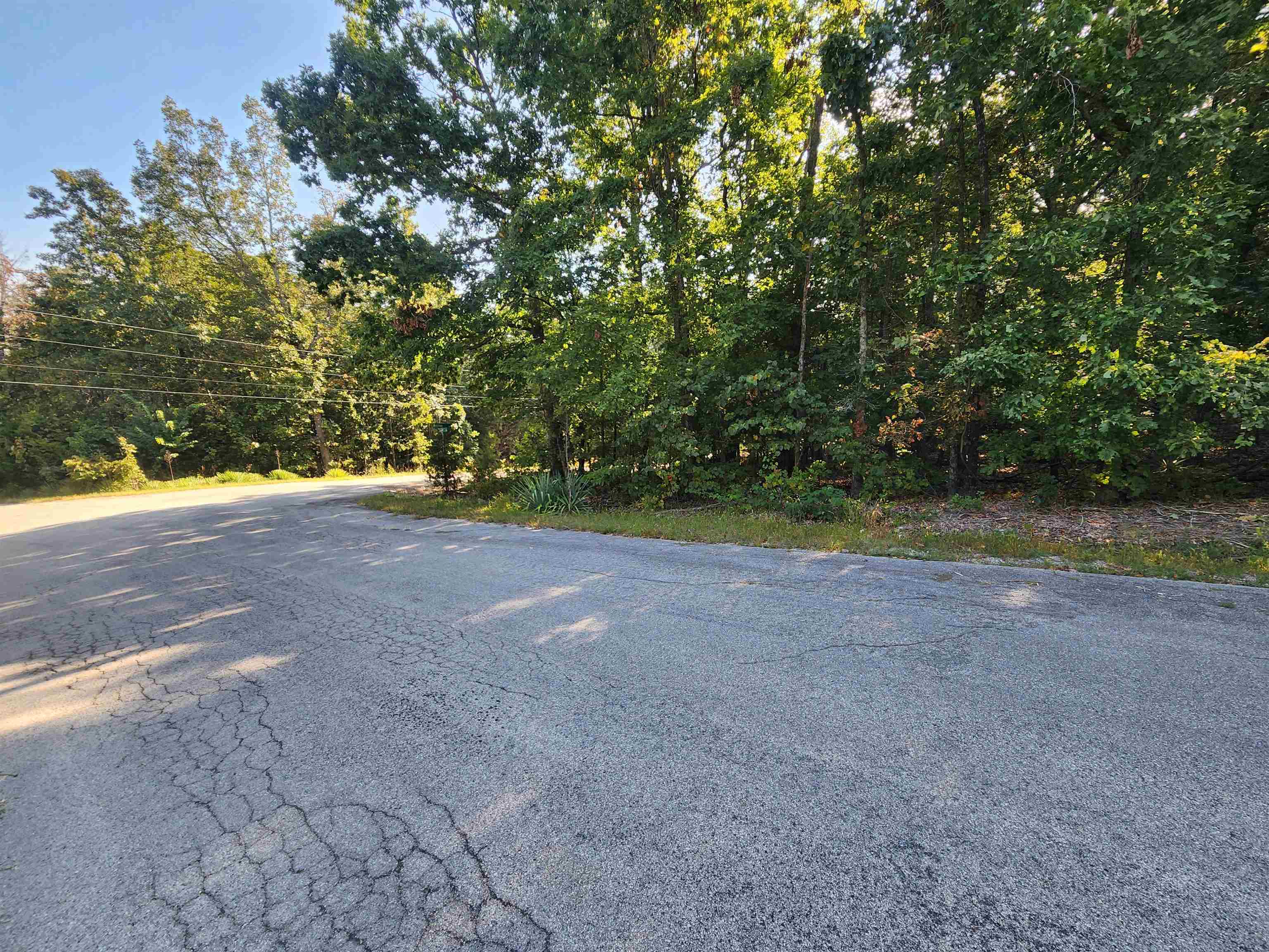 Photo 13 - Vacant Land for sale –   Katsina   Cherokee Village, AR
