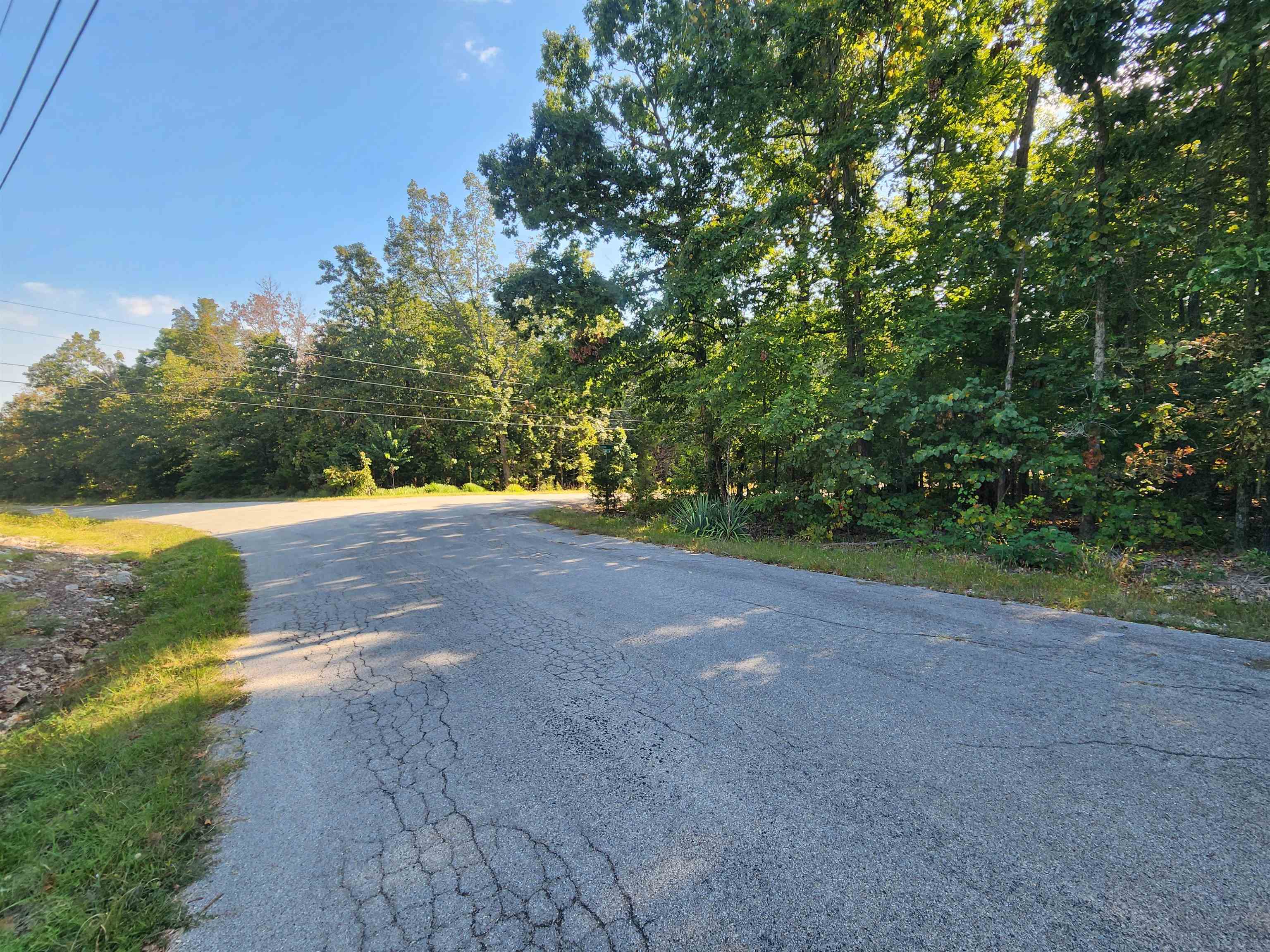 Photo 14 - Vacant Land for sale –   Katsina   Cherokee Village, AR