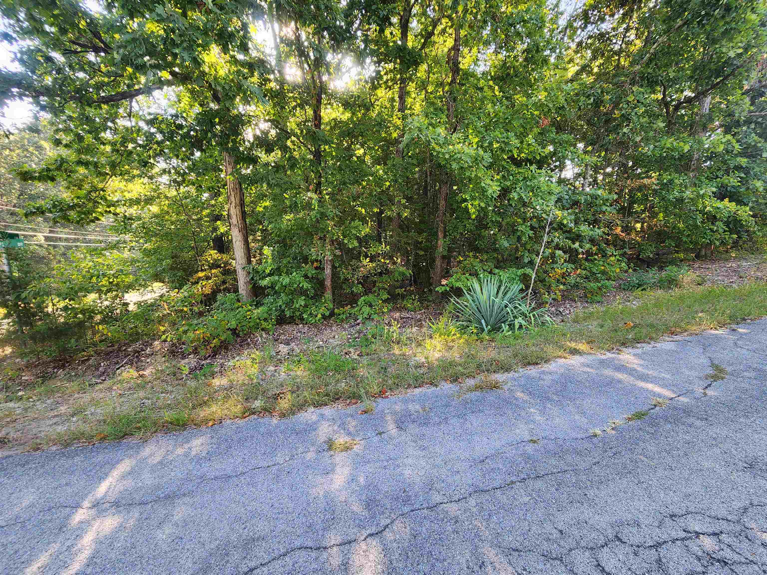 Photo 15 - Vacant Land for sale –   Katsina   Cherokee Village, AR