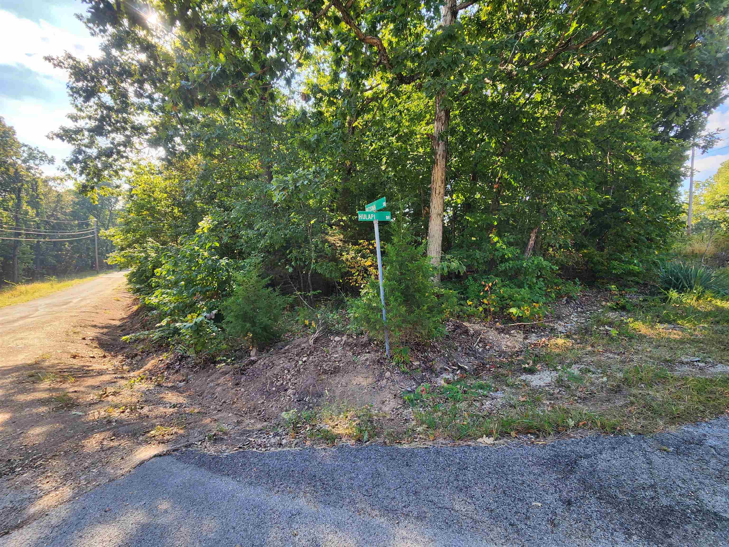 Photo 16 - Vacant Land for sale –   Katsina   Cherokee Village, AR