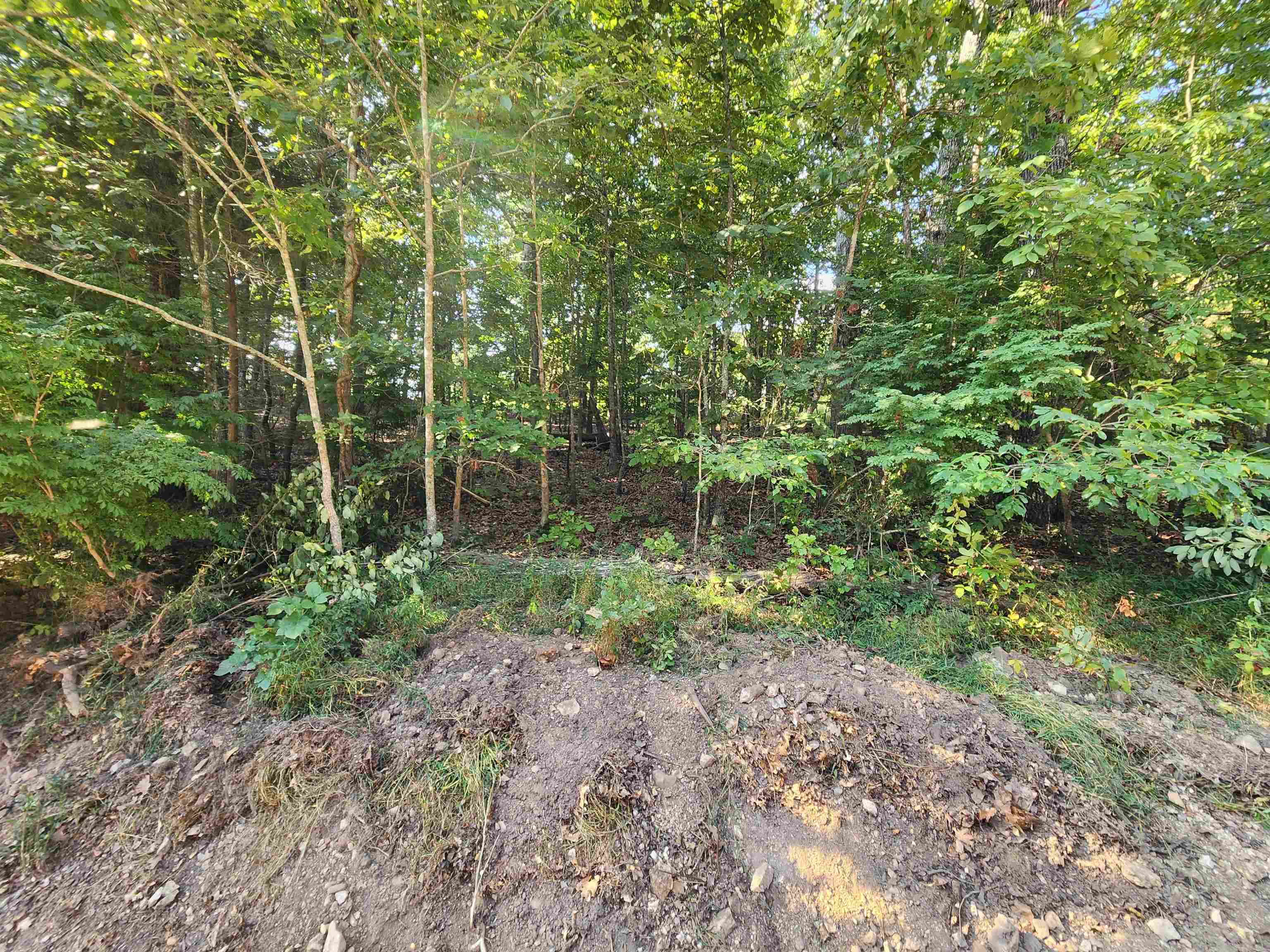 Photo 19 - Vacant Land for sale –   Katsina   Cherokee Village, AR