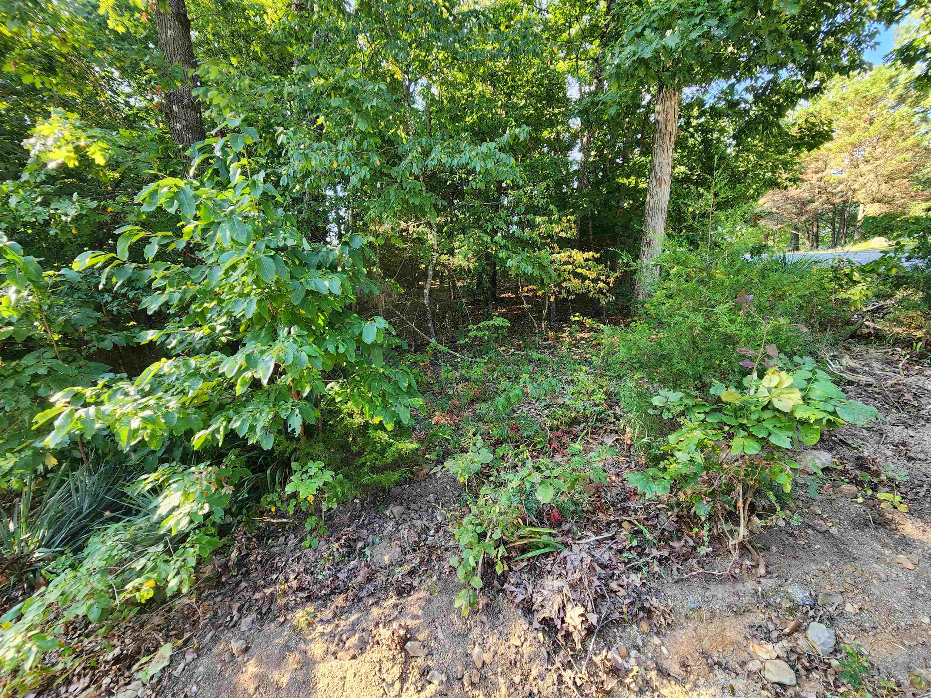 Photo 20 - Vacant Land for sale –   Katsina   Cherokee Village, AR
