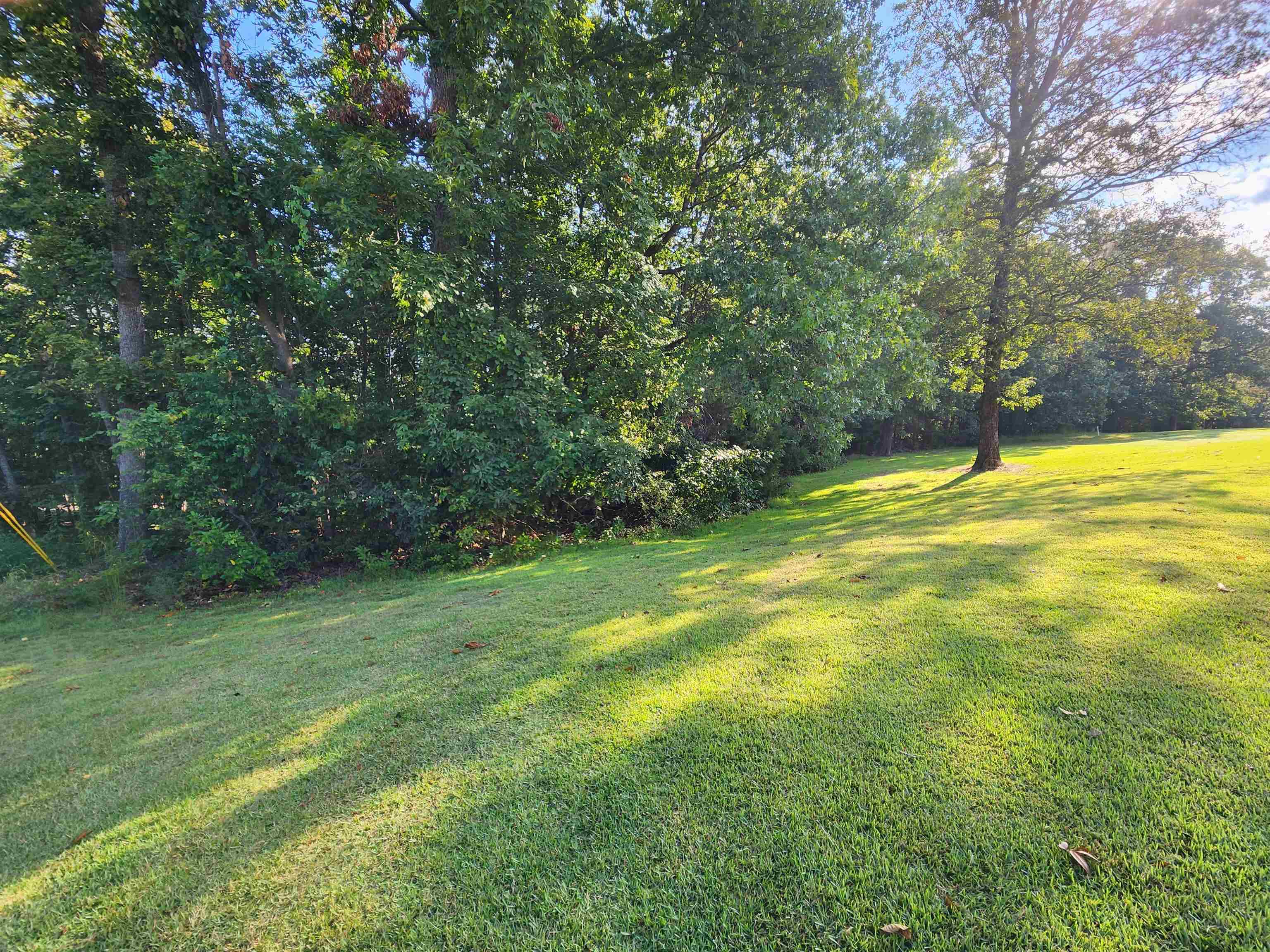 Photo 3 - Vacant Land for sale –   Katsina   Cherokee Village, AR