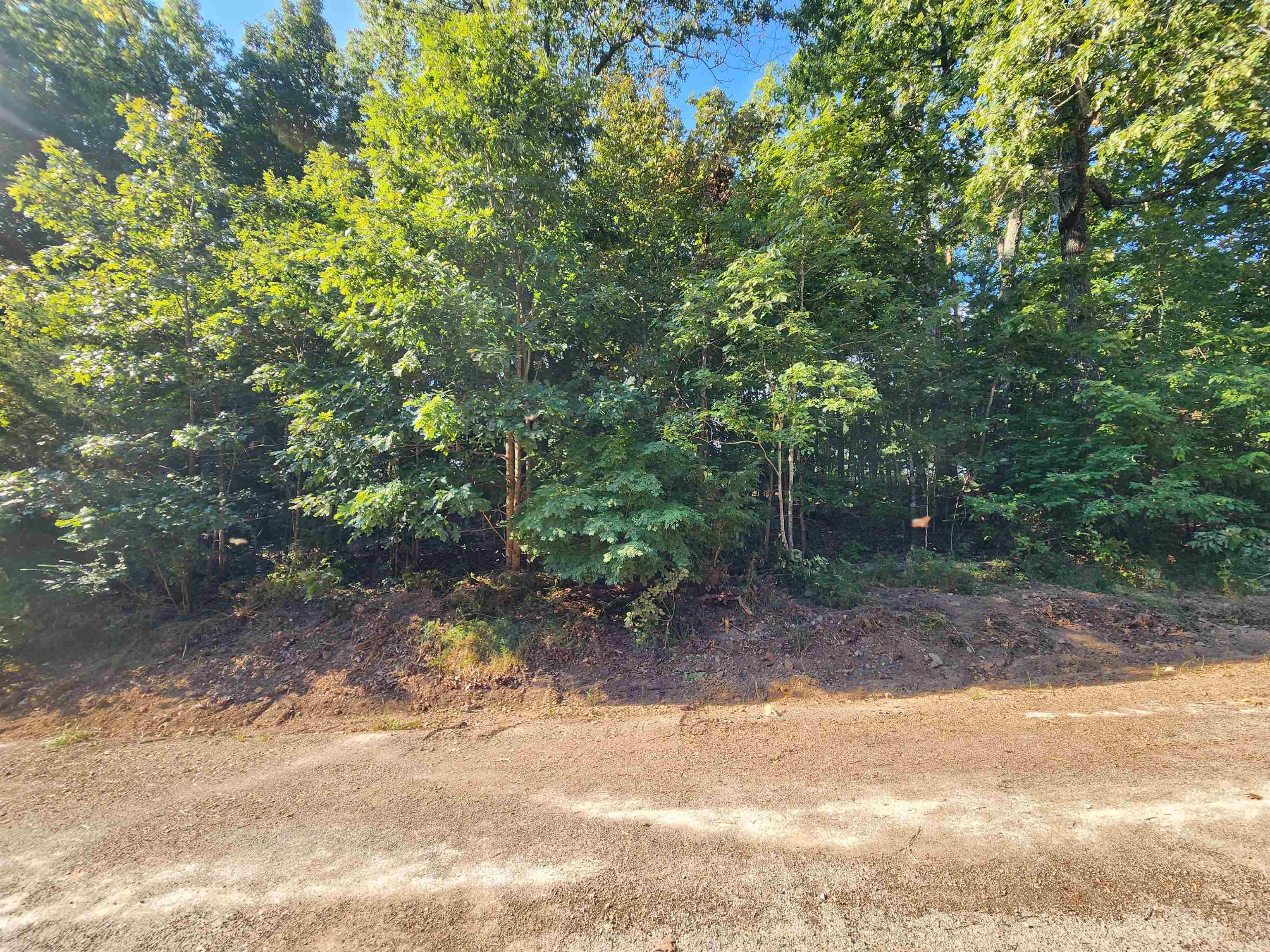 Photo 21 - Vacant Land for sale –   Katsina   Cherokee Village, AR