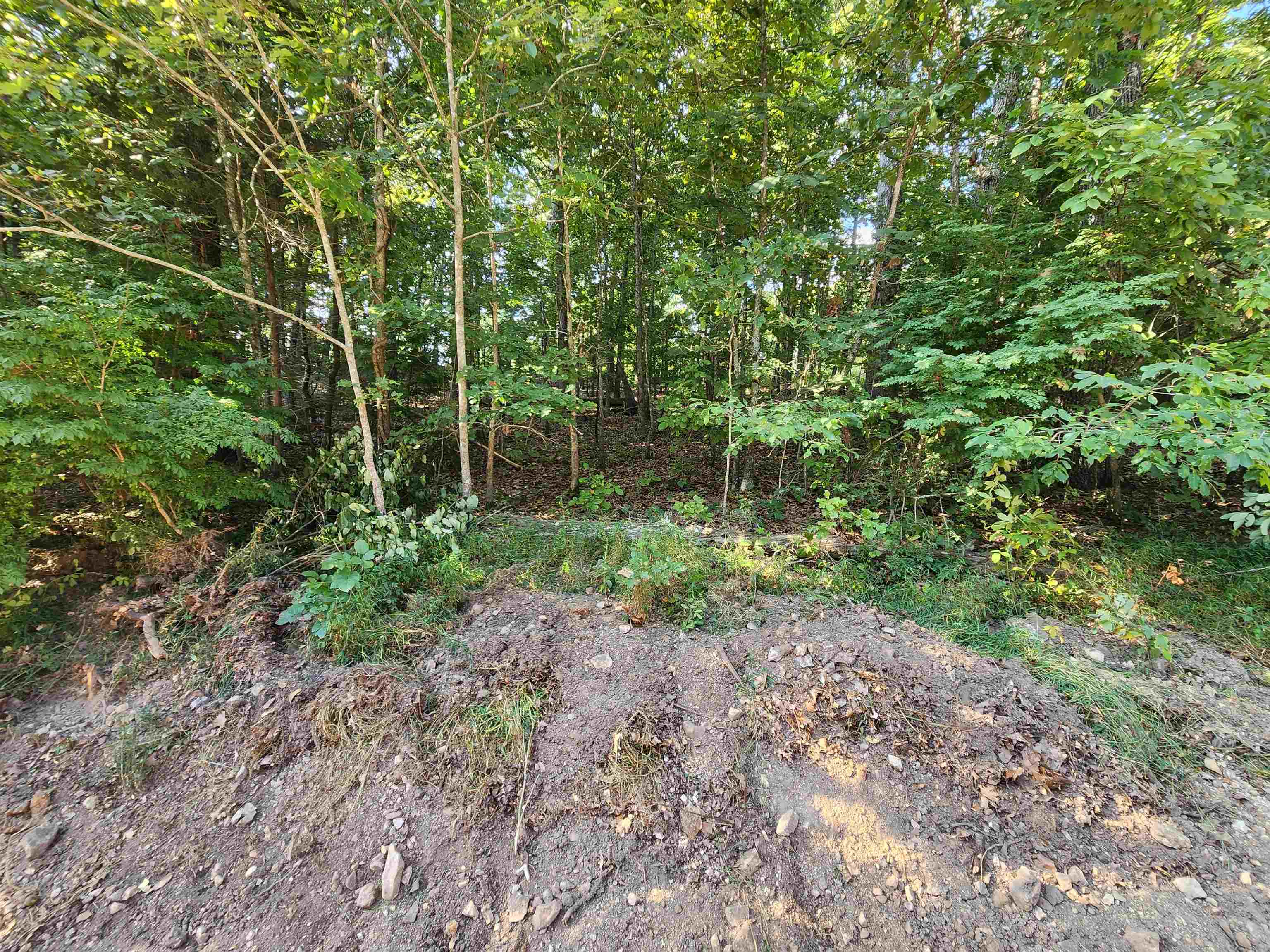 Photo 22 - Vacant Land for sale –   Katsina   Cherokee Village, AR
