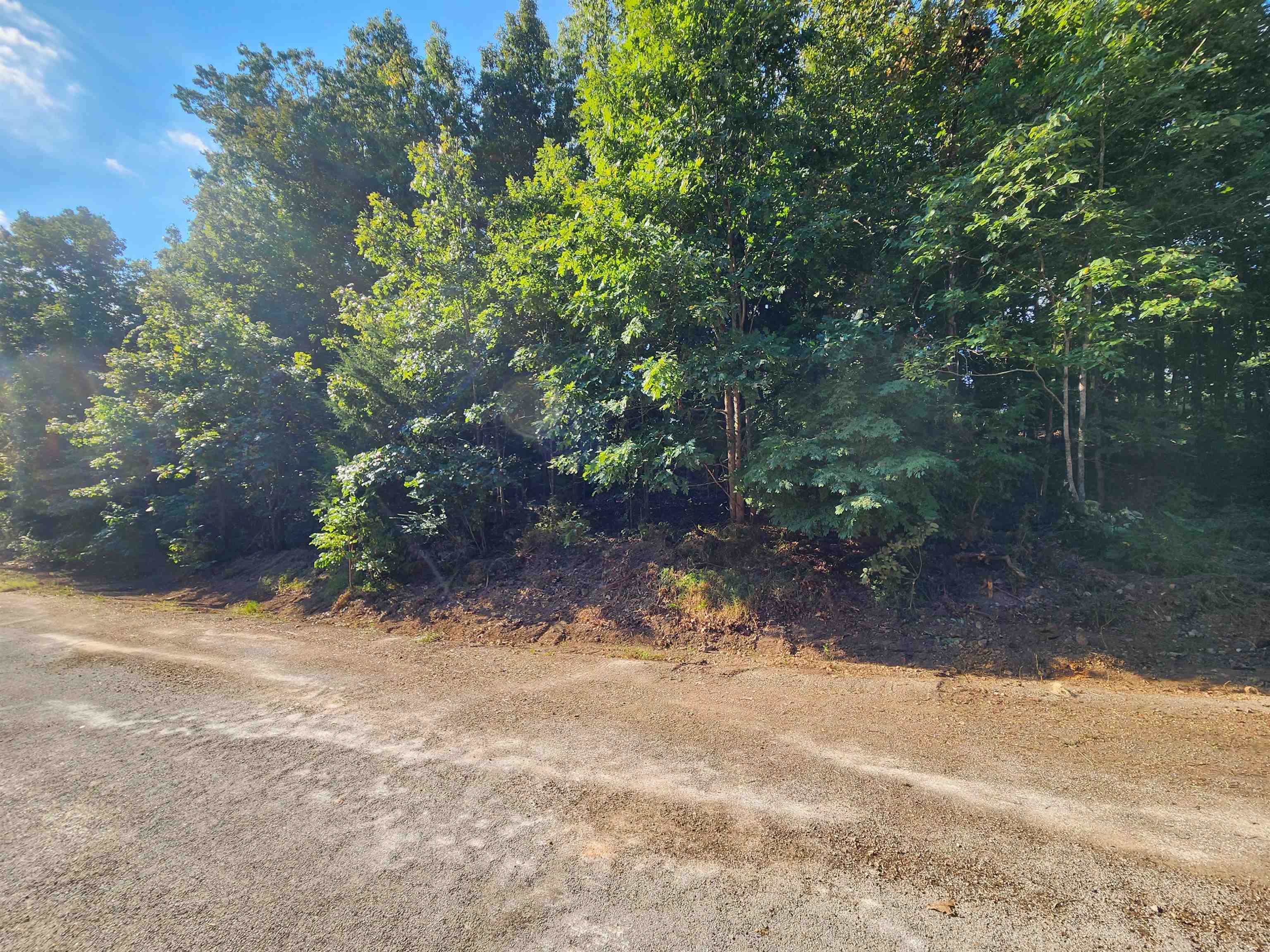Photo 23 - Vacant Land for sale –   Katsina   Cherokee Village, AR
