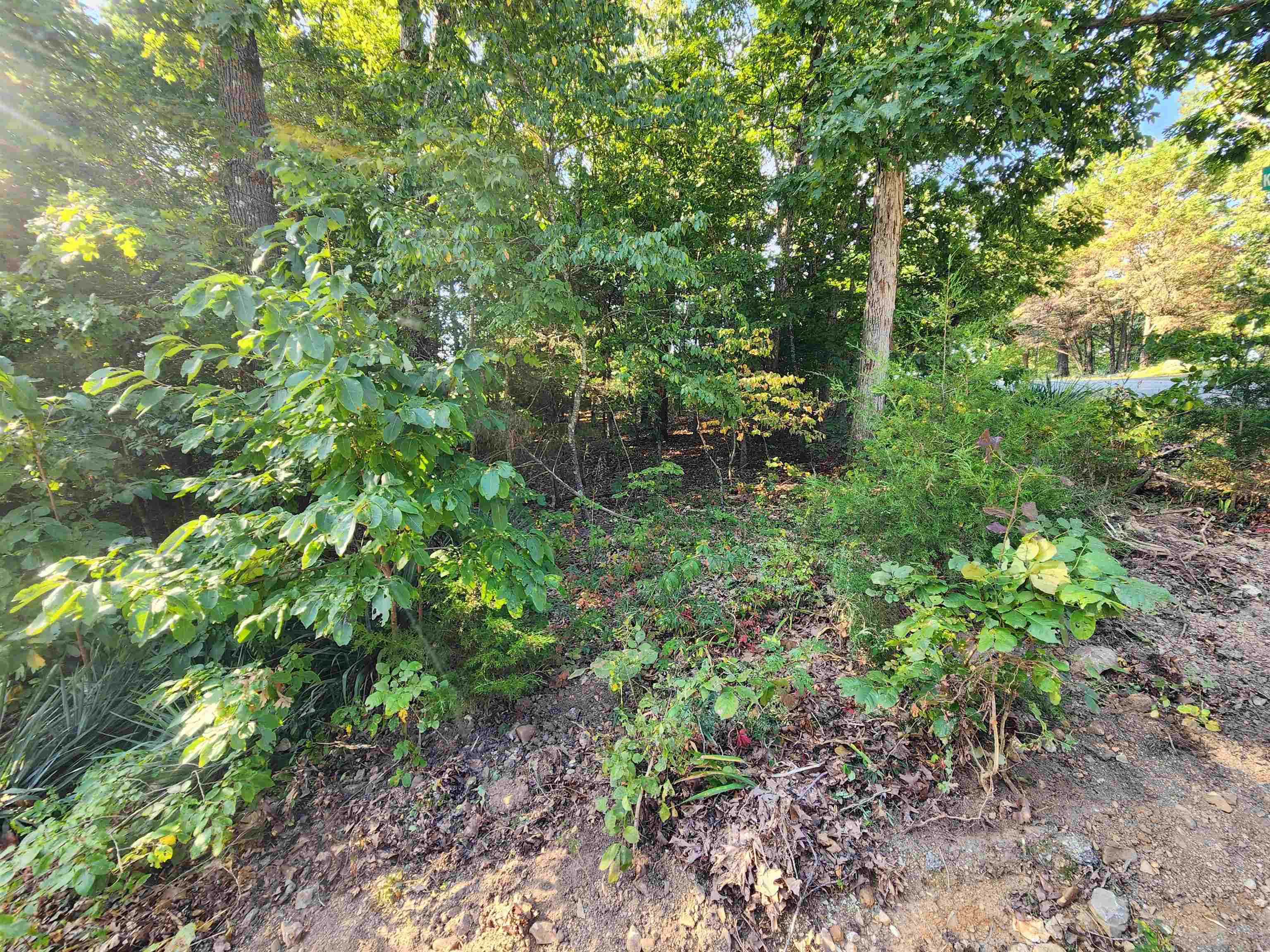 Photo 24 - Vacant Land for sale –   Katsina   Cherokee Village, AR
