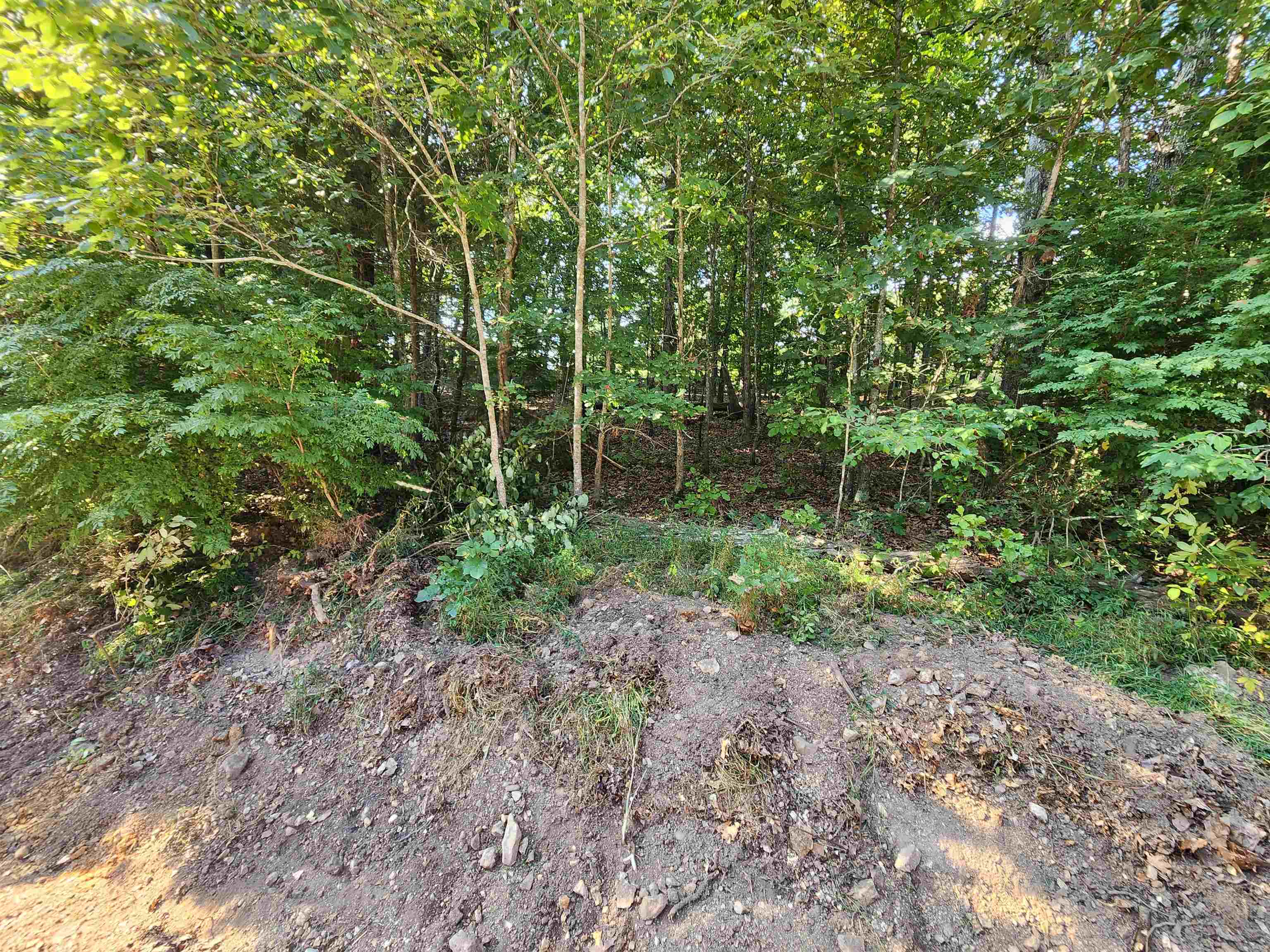 Photo 25 - Vacant Land for sale –   Katsina   Cherokee Village, AR