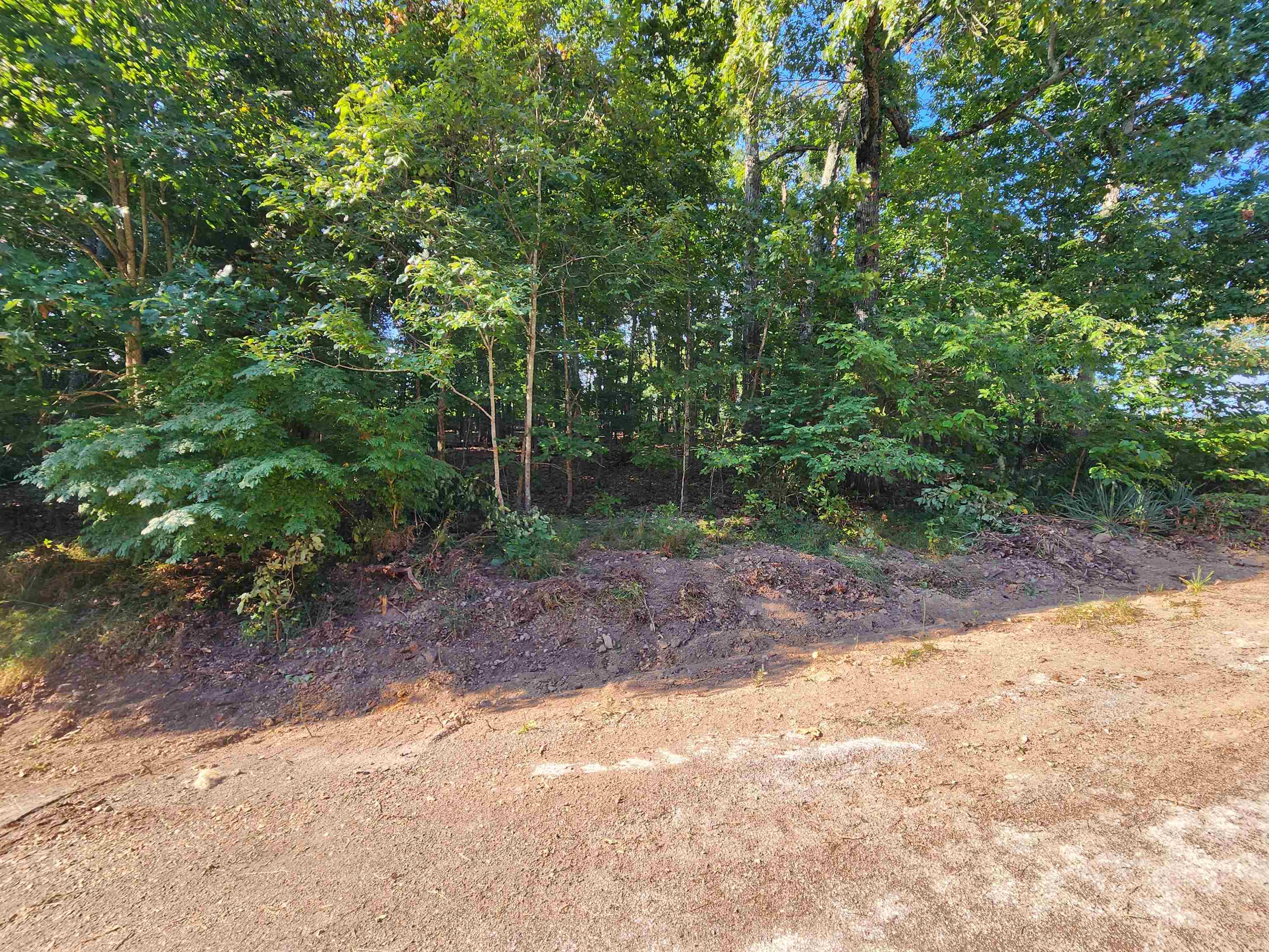 Photo 28 - Vacant Land for sale –   Katsina   Cherokee Village, AR