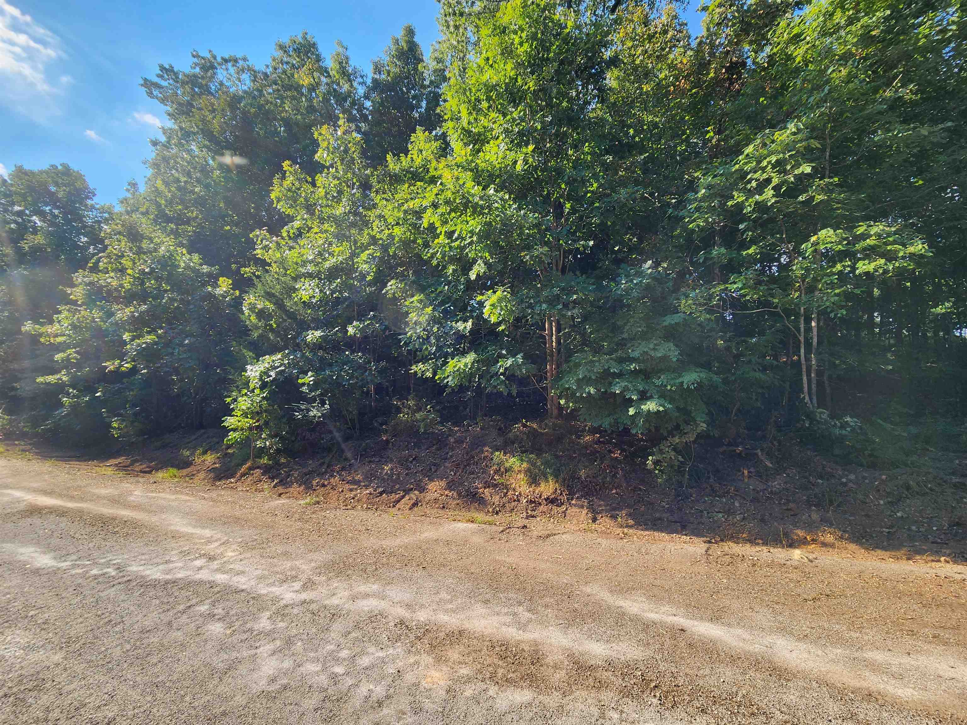 Photo 29 - Vacant Land for sale –   Katsina   Cherokee Village, AR
