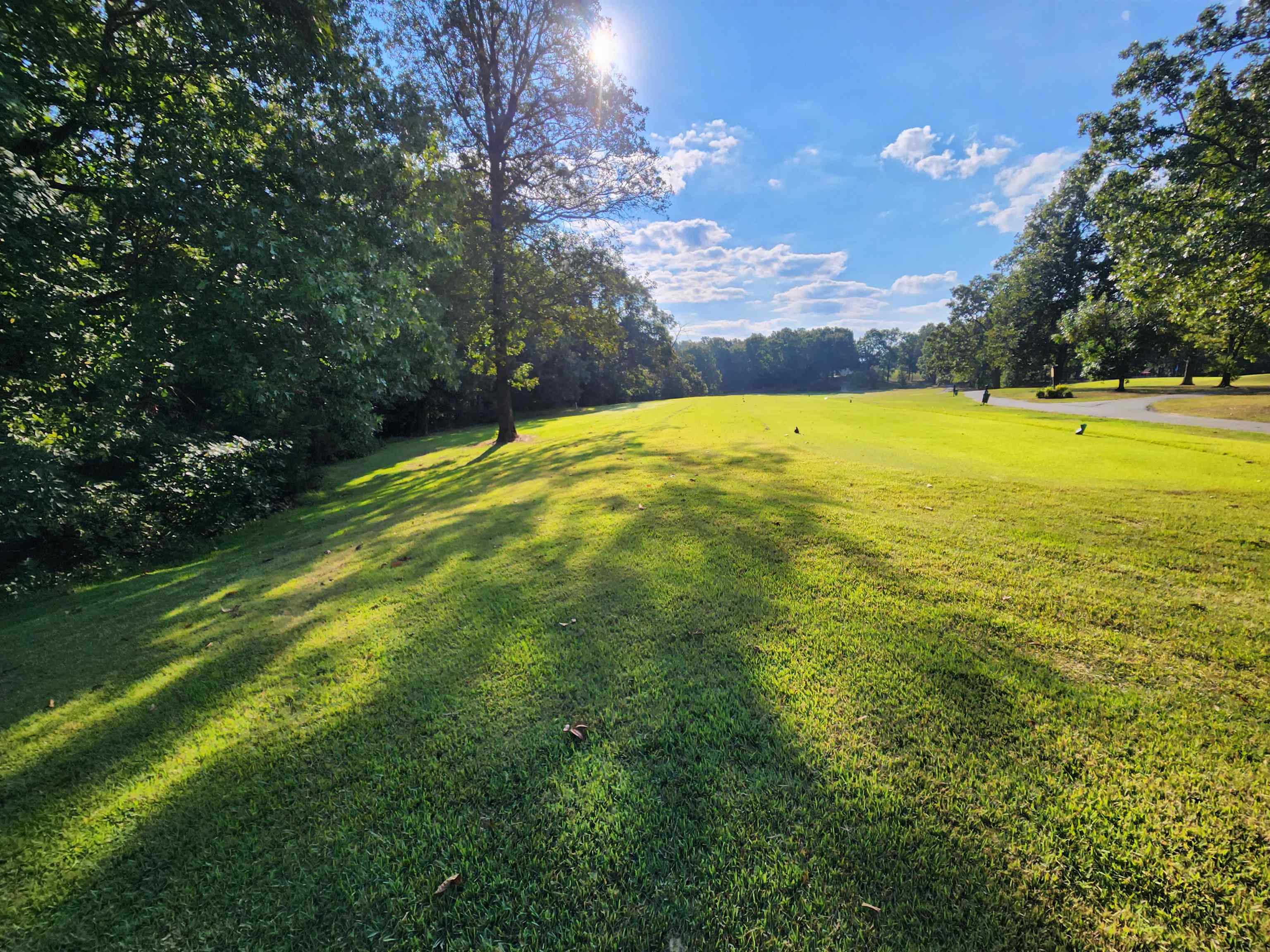 Photo 4 - Vacant Land for sale –   Katsina   Cherokee Village, AR
