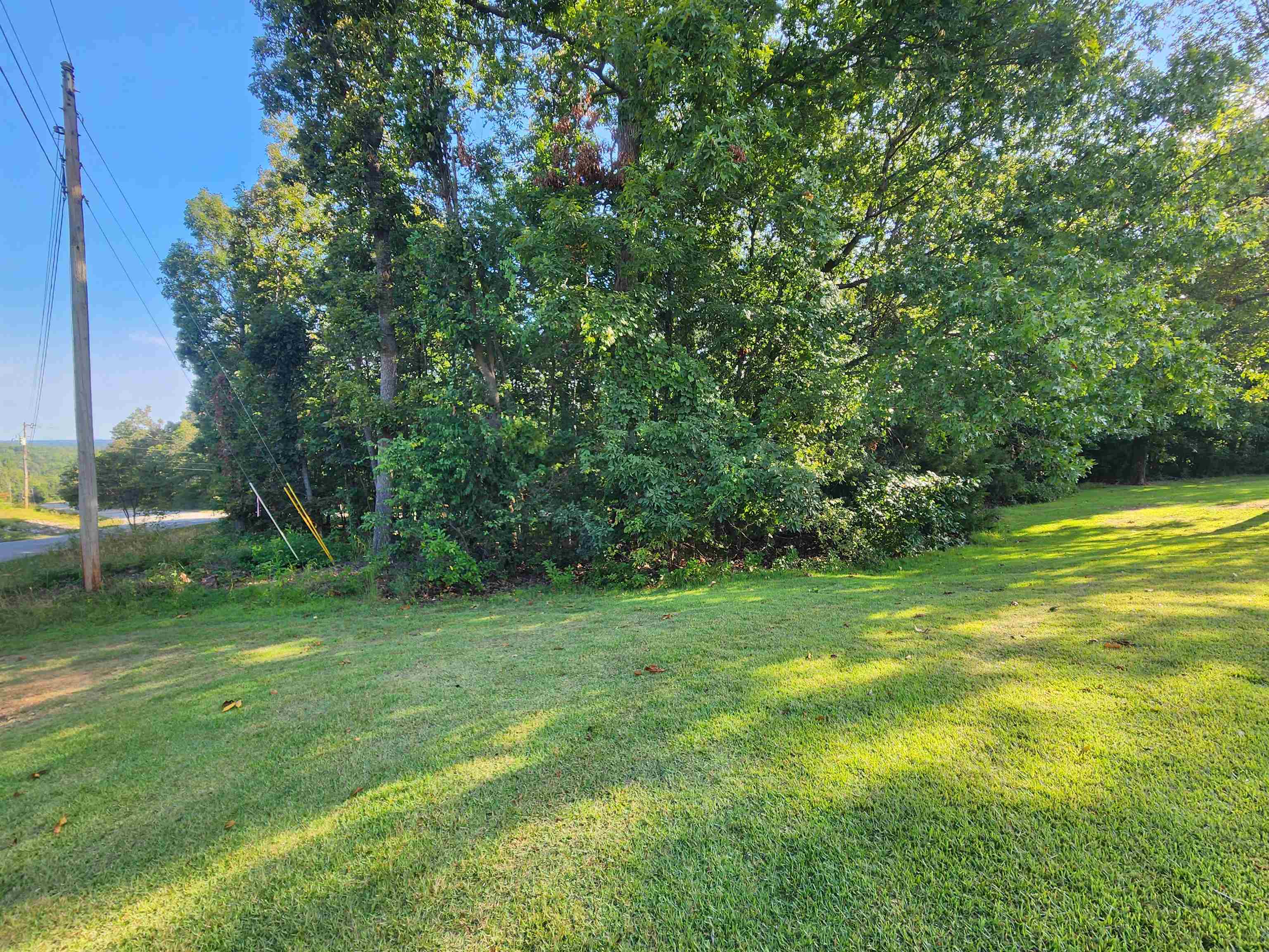 Photo 5 - Vacant Land for sale –   Katsina   Cherokee Village, AR