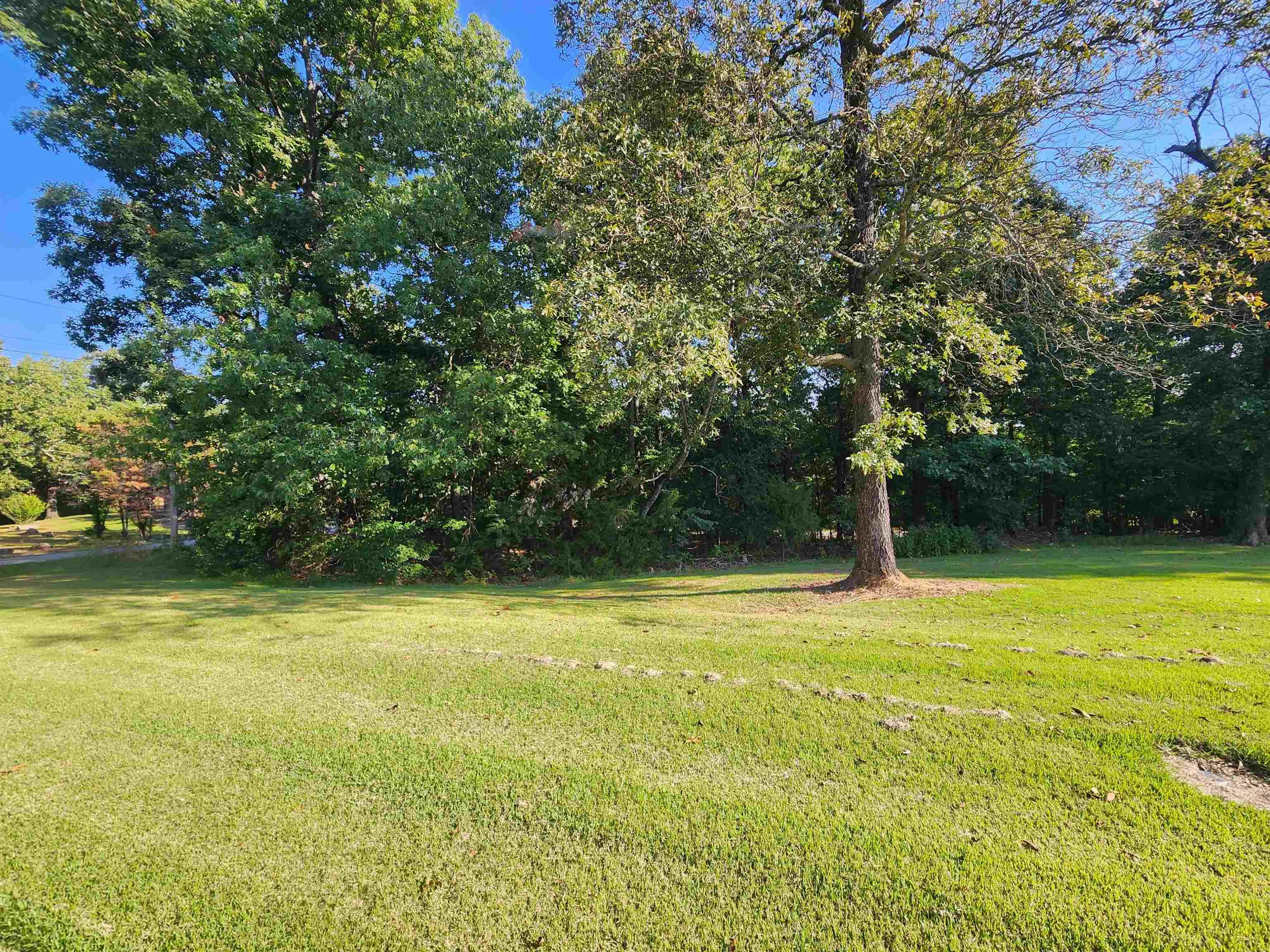 Photo 6 - Vacant Land for sale –   Katsina   Cherokee Village, AR