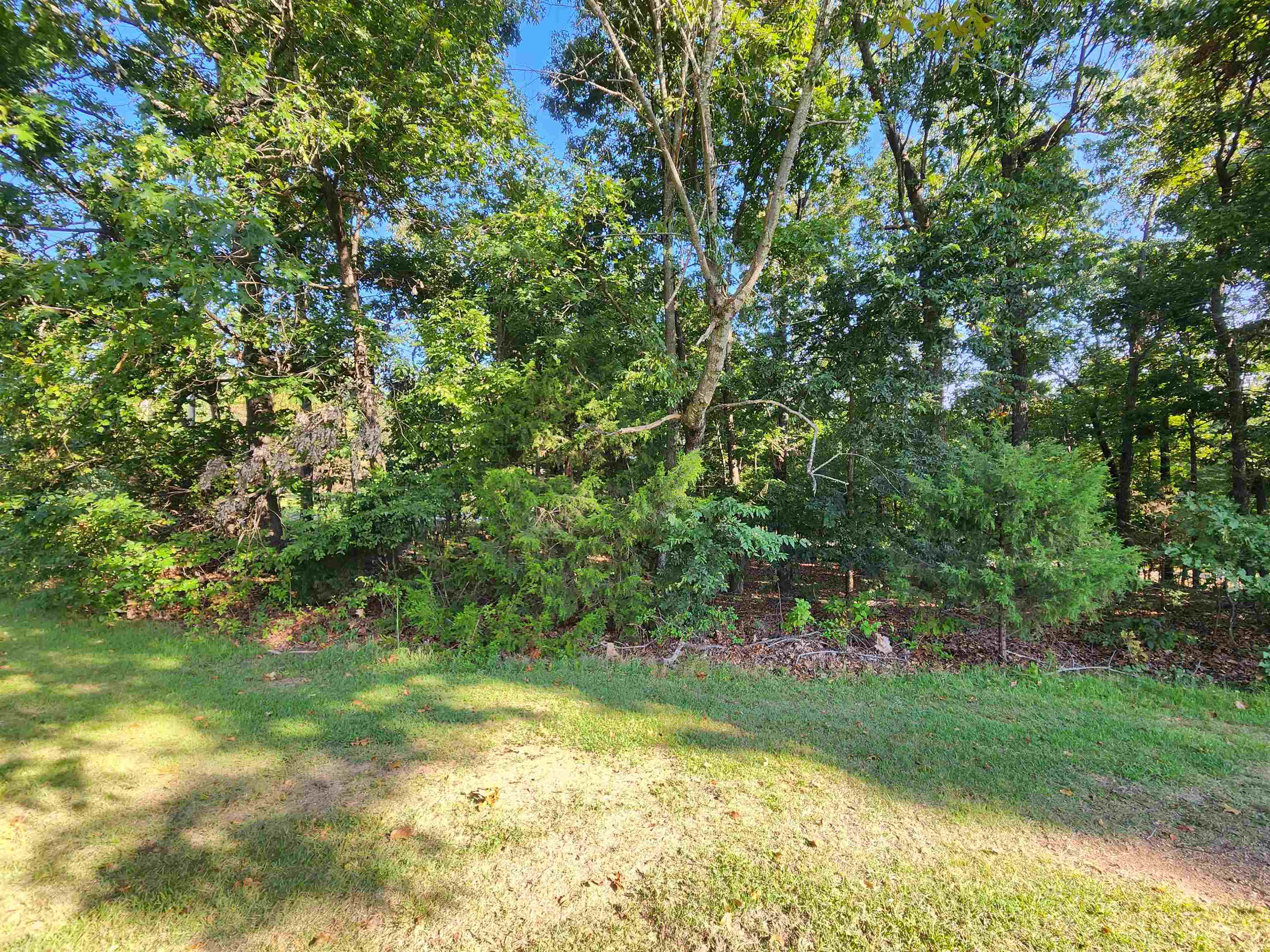 Photo 7 - Vacant Land for sale –   Katsina   Cherokee Village, AR