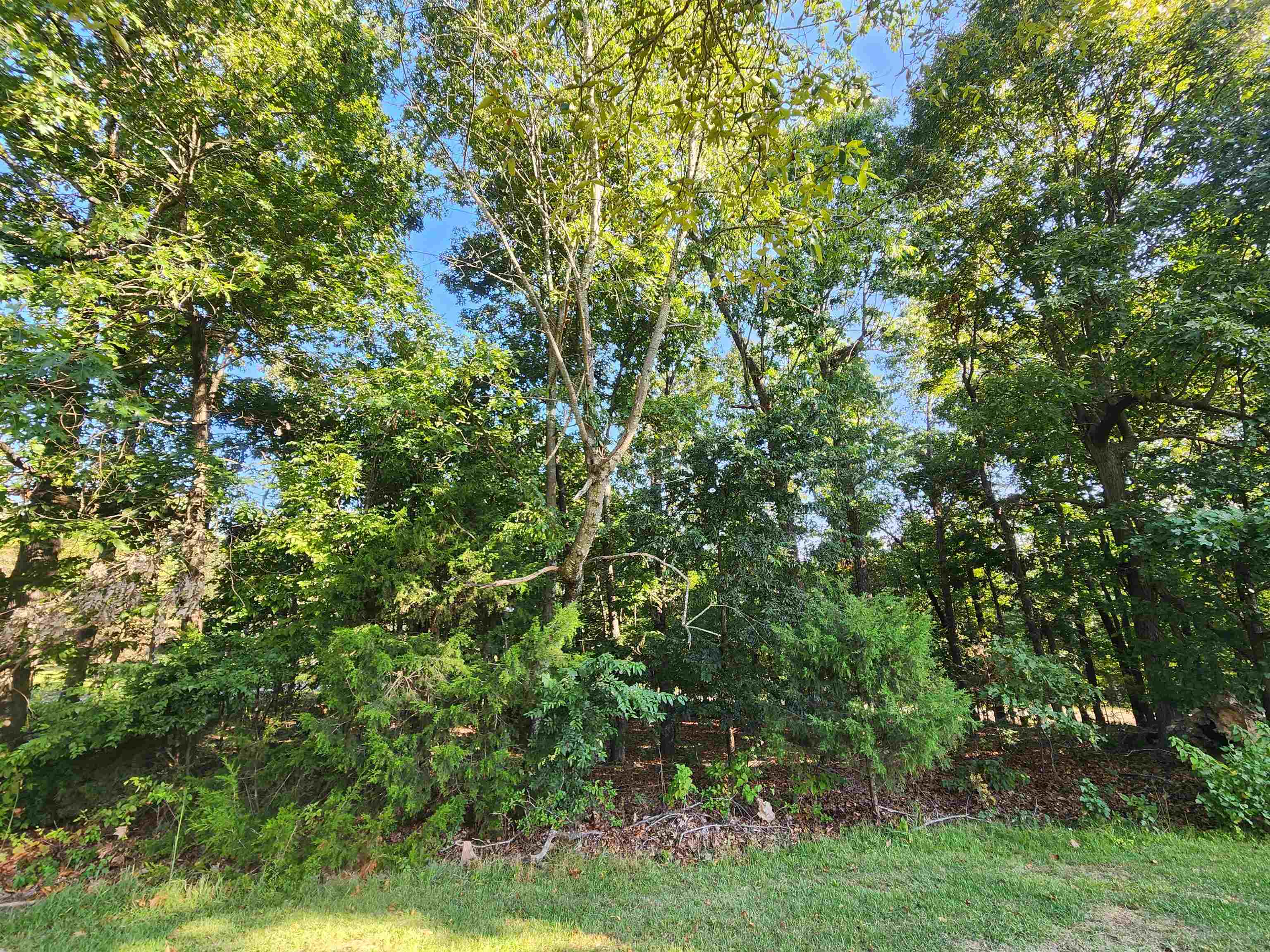 Photo 8 - Vacant Land for sale –   Katsina   Cherokee Village, AR