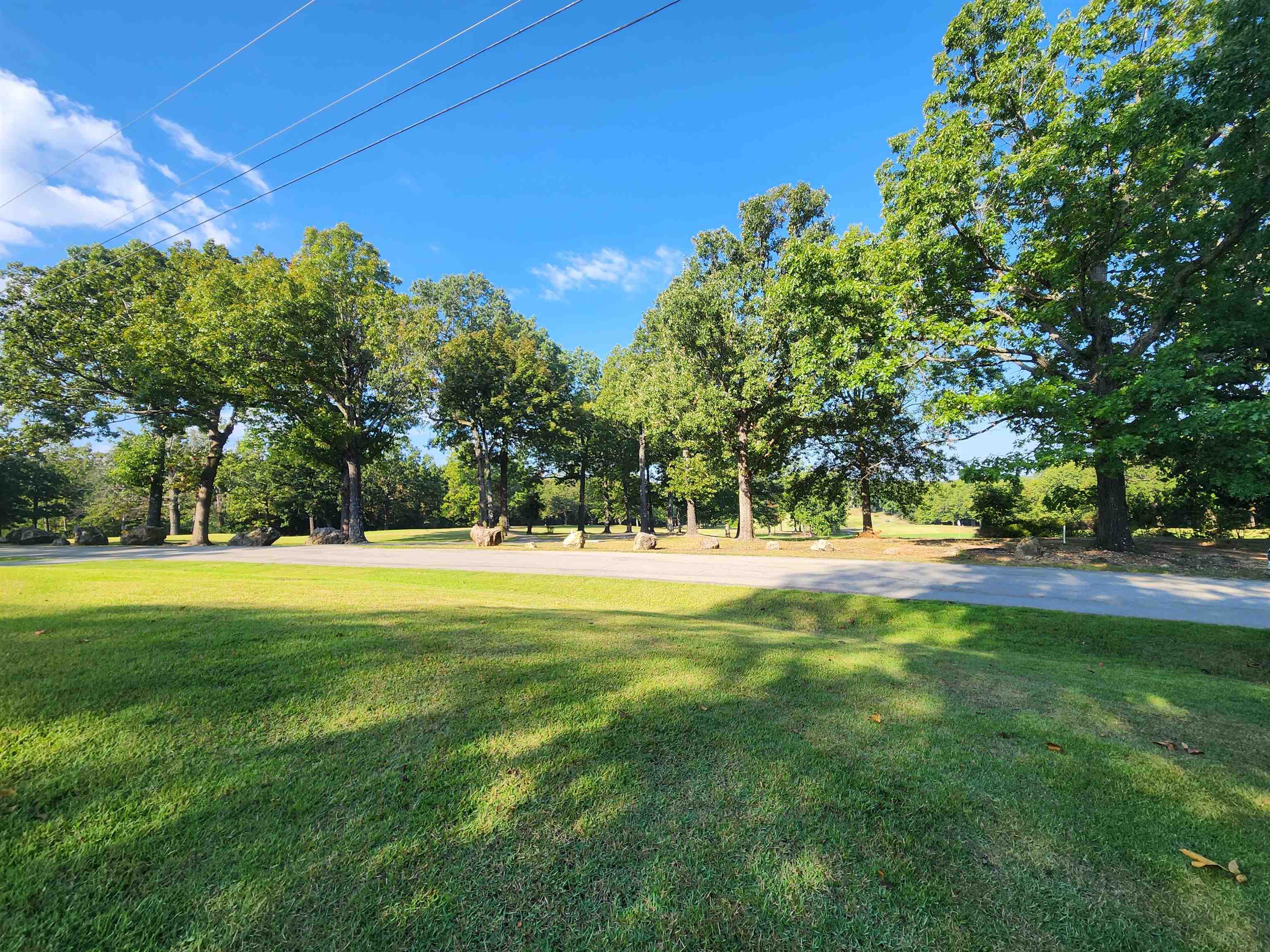 Photo 9 - Vacant Land for sale –   Katsina   Cherokee Village, AR