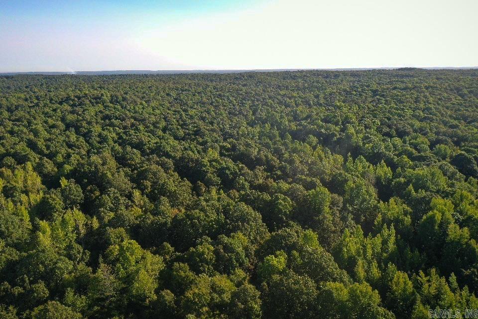 Vacant Land for sale –   Clay County Rd. 408   Rector, AR