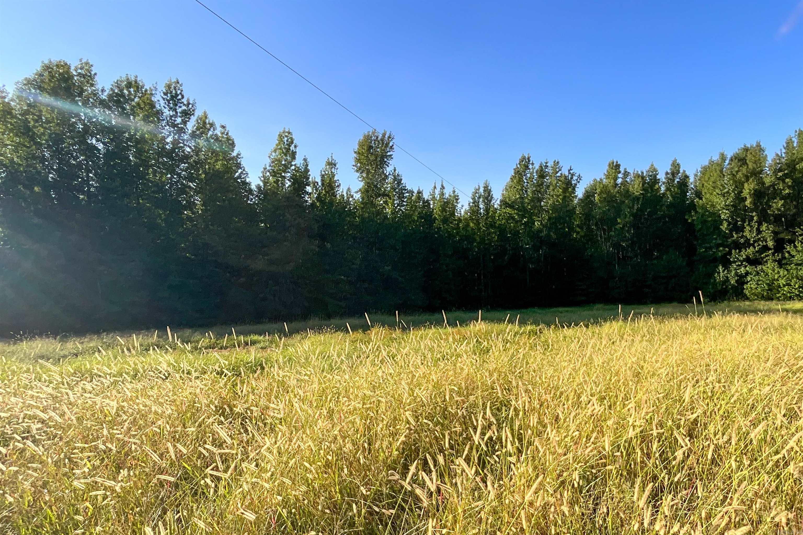 Photo 16 - Vacant Land for sale –   Clay County Rd. 408   Rector, AR