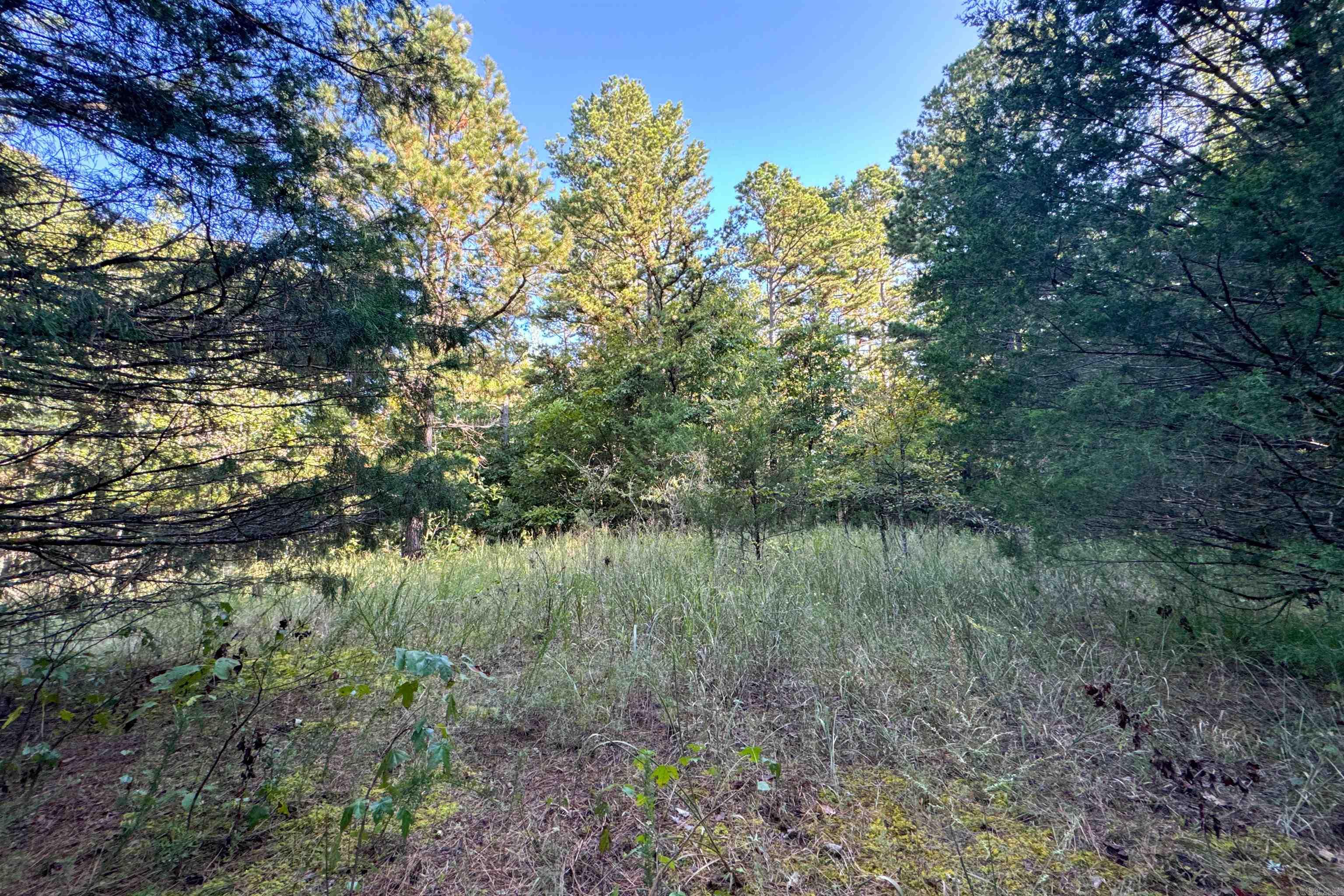 Photo 20 - Vacant Land for sale –   Clay County Rd. 408   Rector, AR