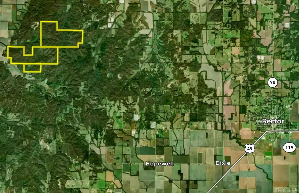 Photo 3 - Vacant Land for sale –   Clay County Rd. 408   Rector, AR
