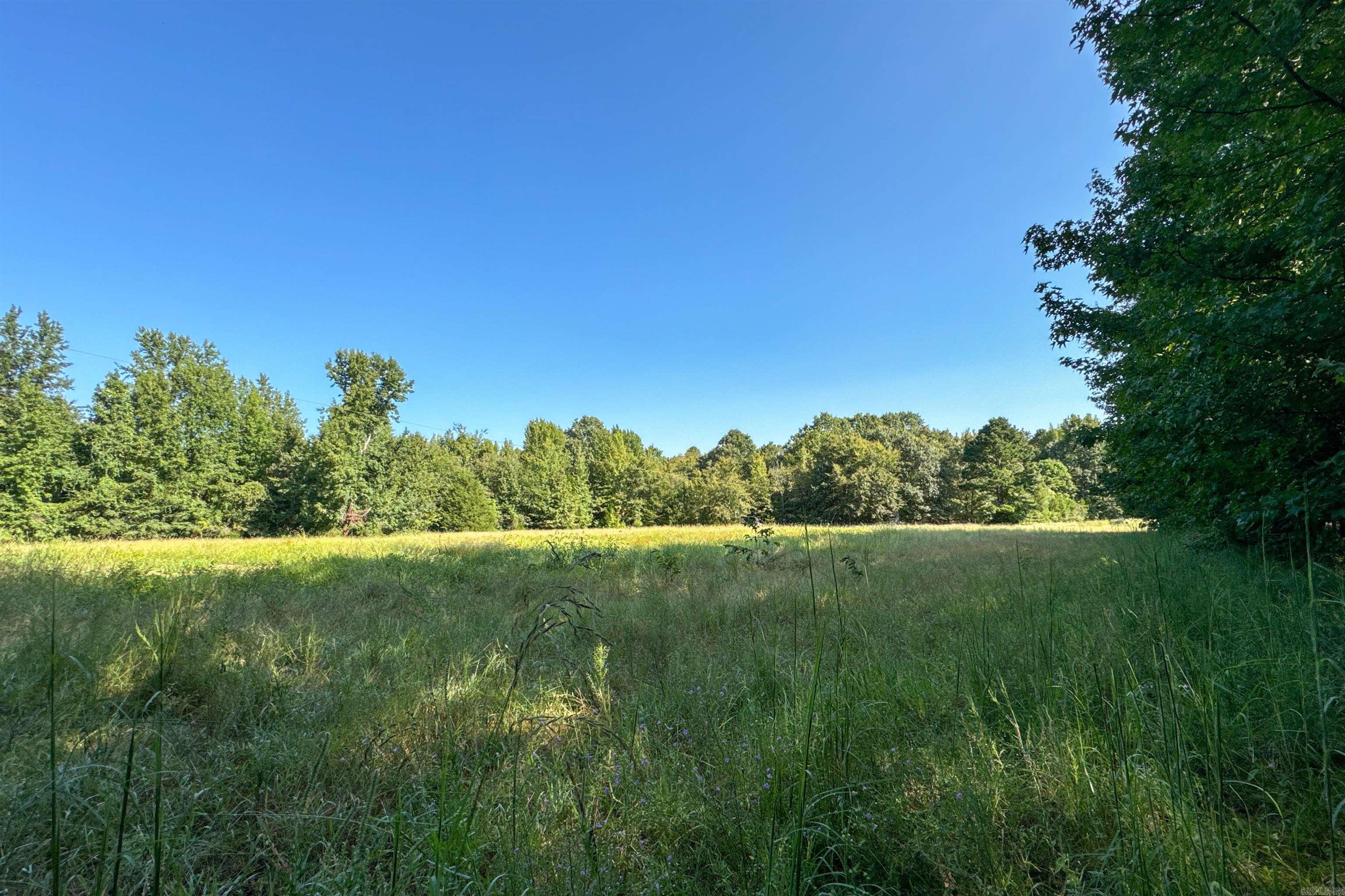 Photo 28 - Vacant Land for sale –   Clay County Rd. 408   Rector, AR