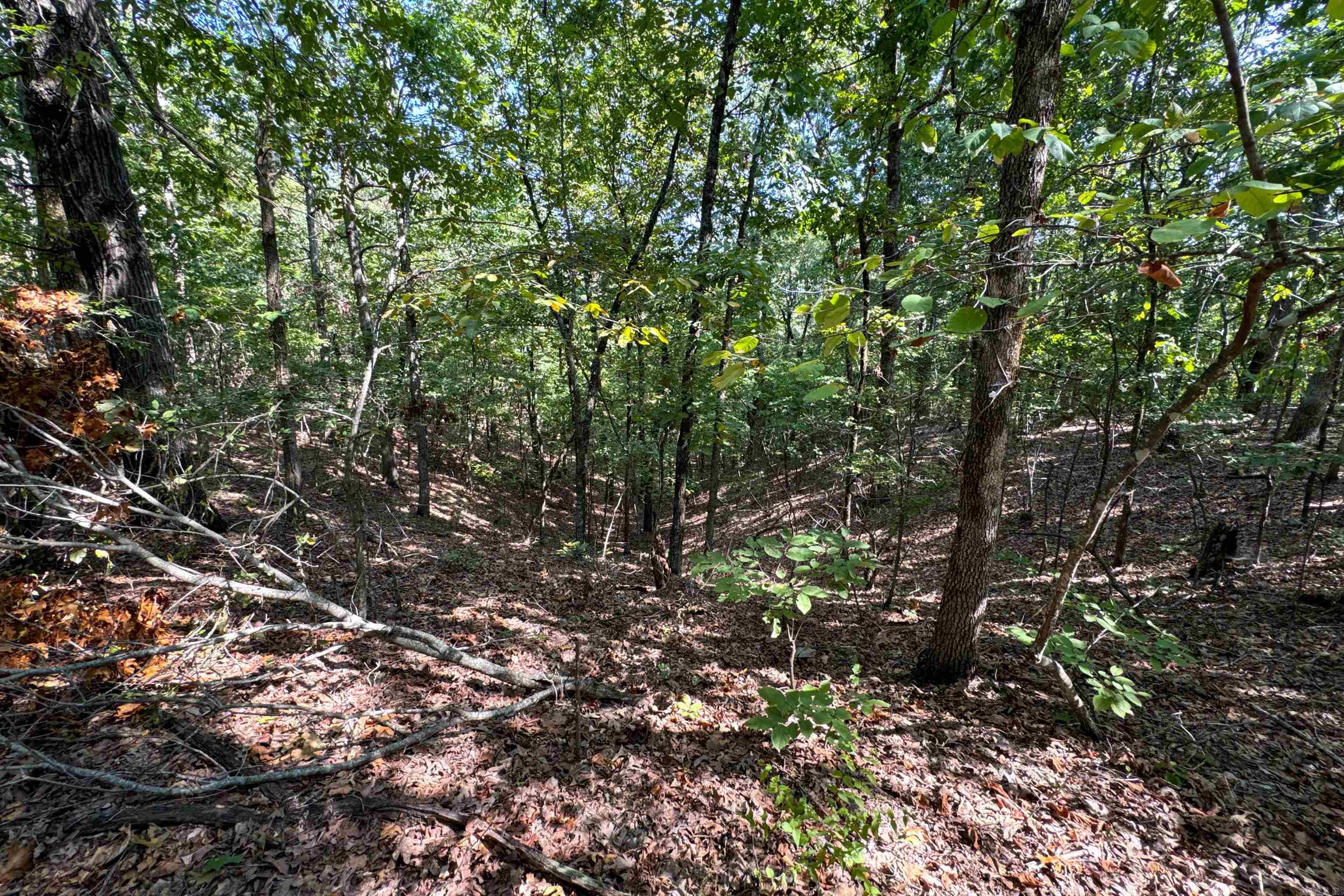 Photo 36 - Vacant Land for sale –   Clay County Rd. 408   Rector, AR