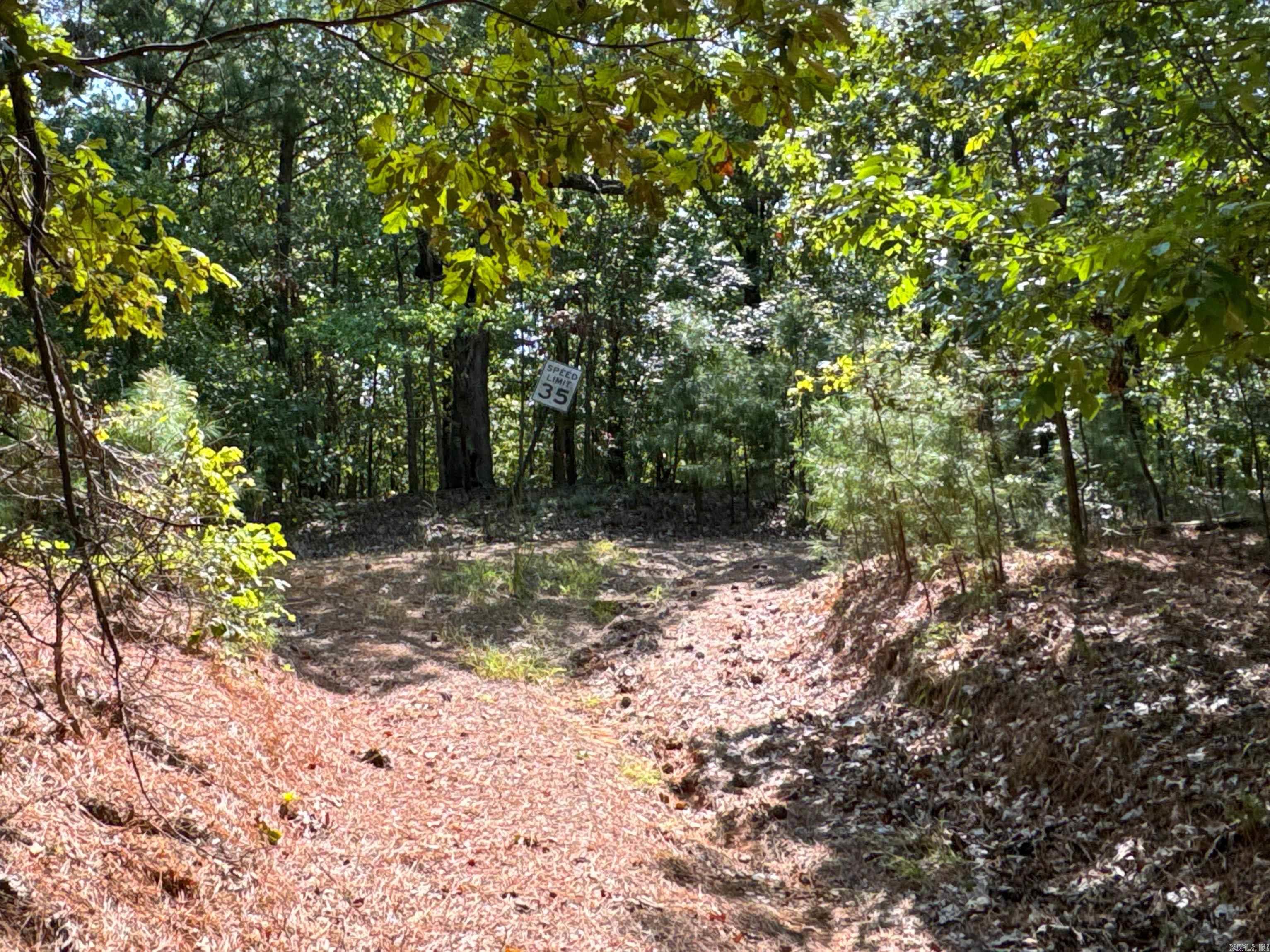 Photo 38 - Vacant Land for sale –   Clay County Rd. 408   Rector, AR