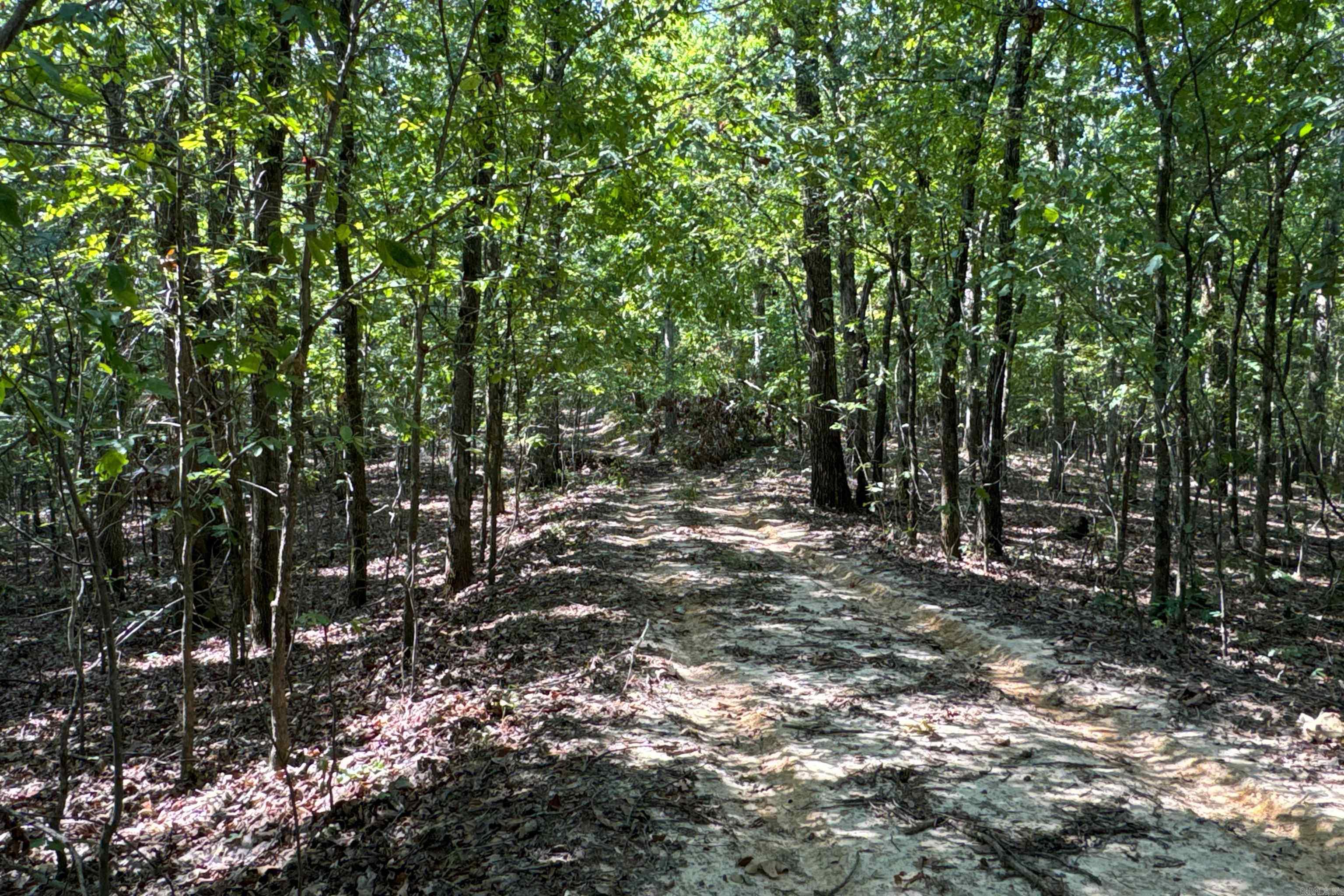 Photo 40 - Vacant Land for sale –   Clay County Rd. 408   Rector, AR