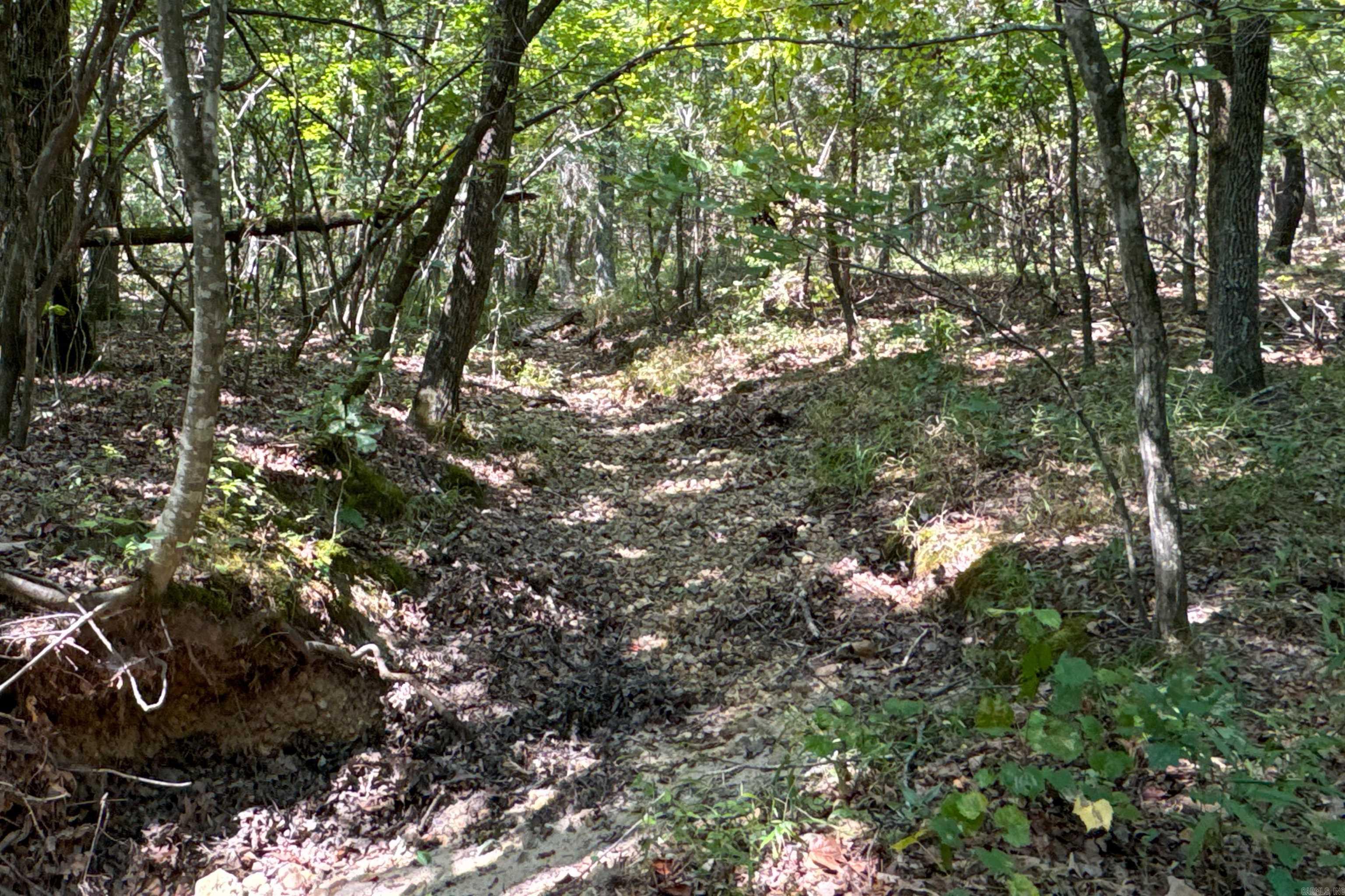 Photo 42 - Vacant Land for sale –   Clay County Rd. 408   Rector, AR