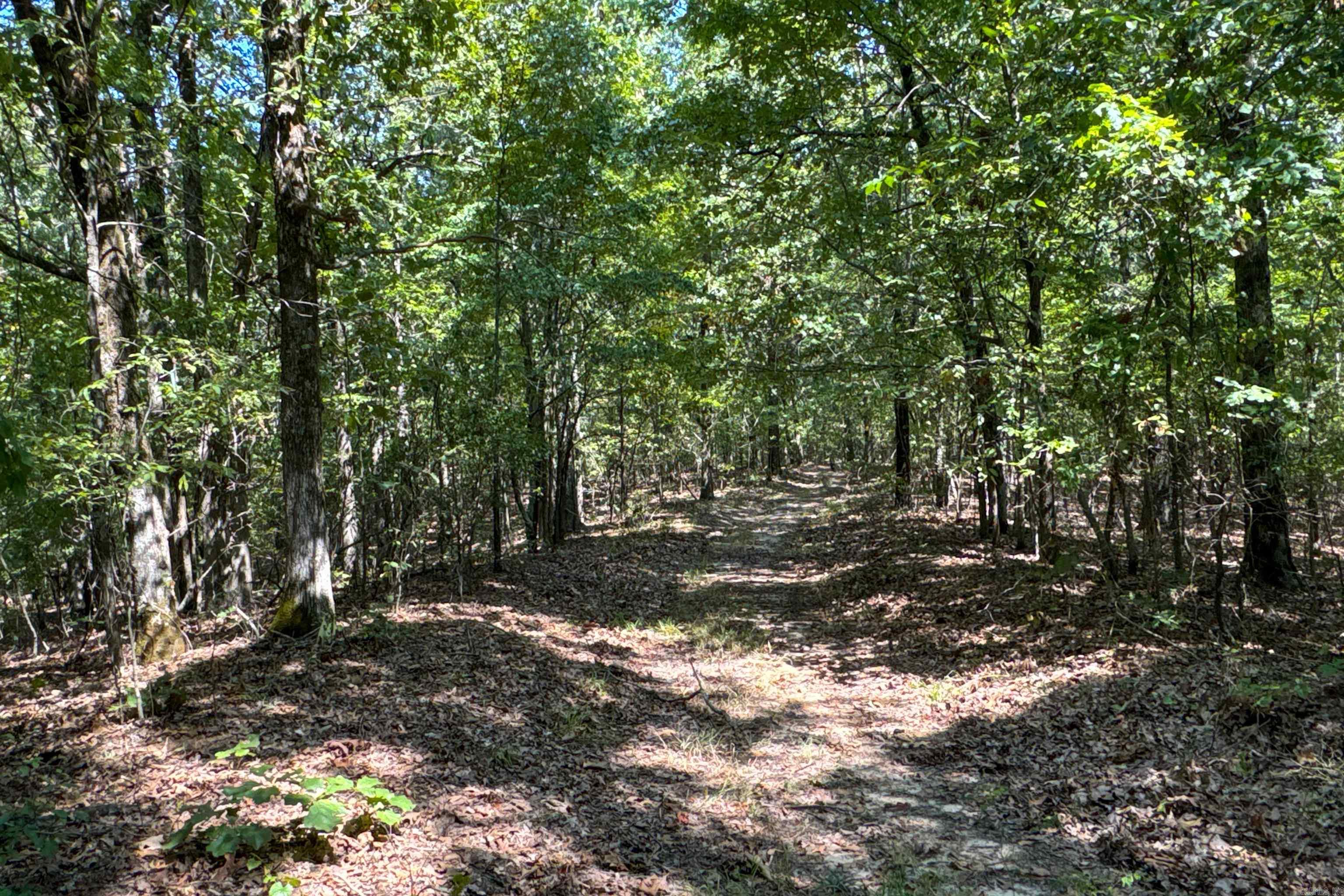 Photo 44 - Vacant Land for sale –   Clay County Rd. 408   Rector, AR