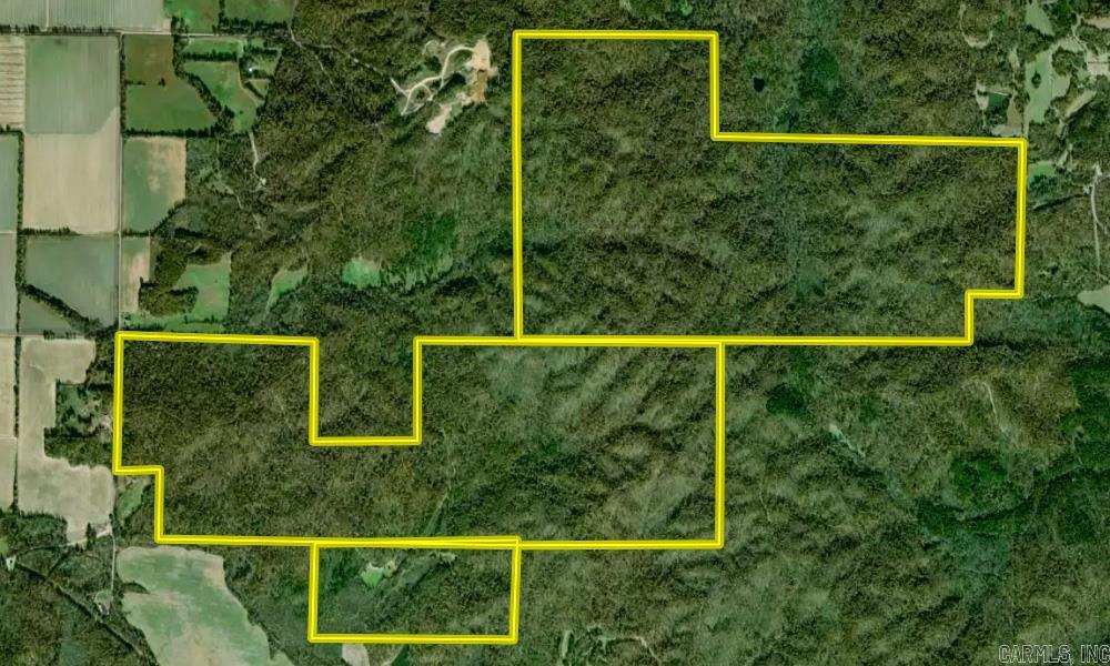 Photo 47 - Vacant Land for sale –   Clay County Rd. 408   Rector, AR