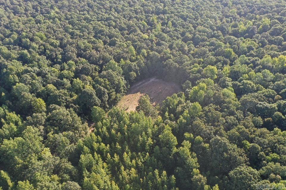 Photo 48 - Vacant Land for sale –   Clay County Rd. 408   Rector, AR