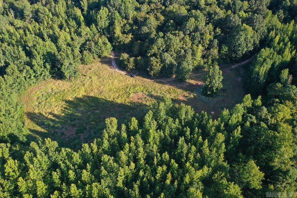 Photo 49 - Vacant Land for sale –   Clay County Rd. 408   Rector, AR