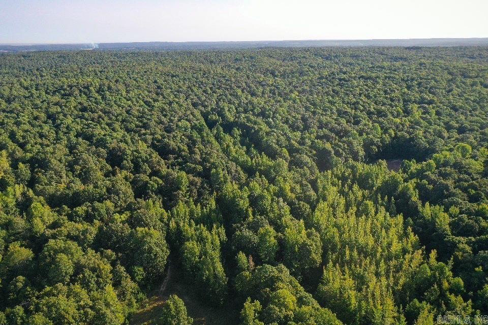 Photo 50 - Vacant Land for sale –   Clay County Rd. 408   Rector, AR
