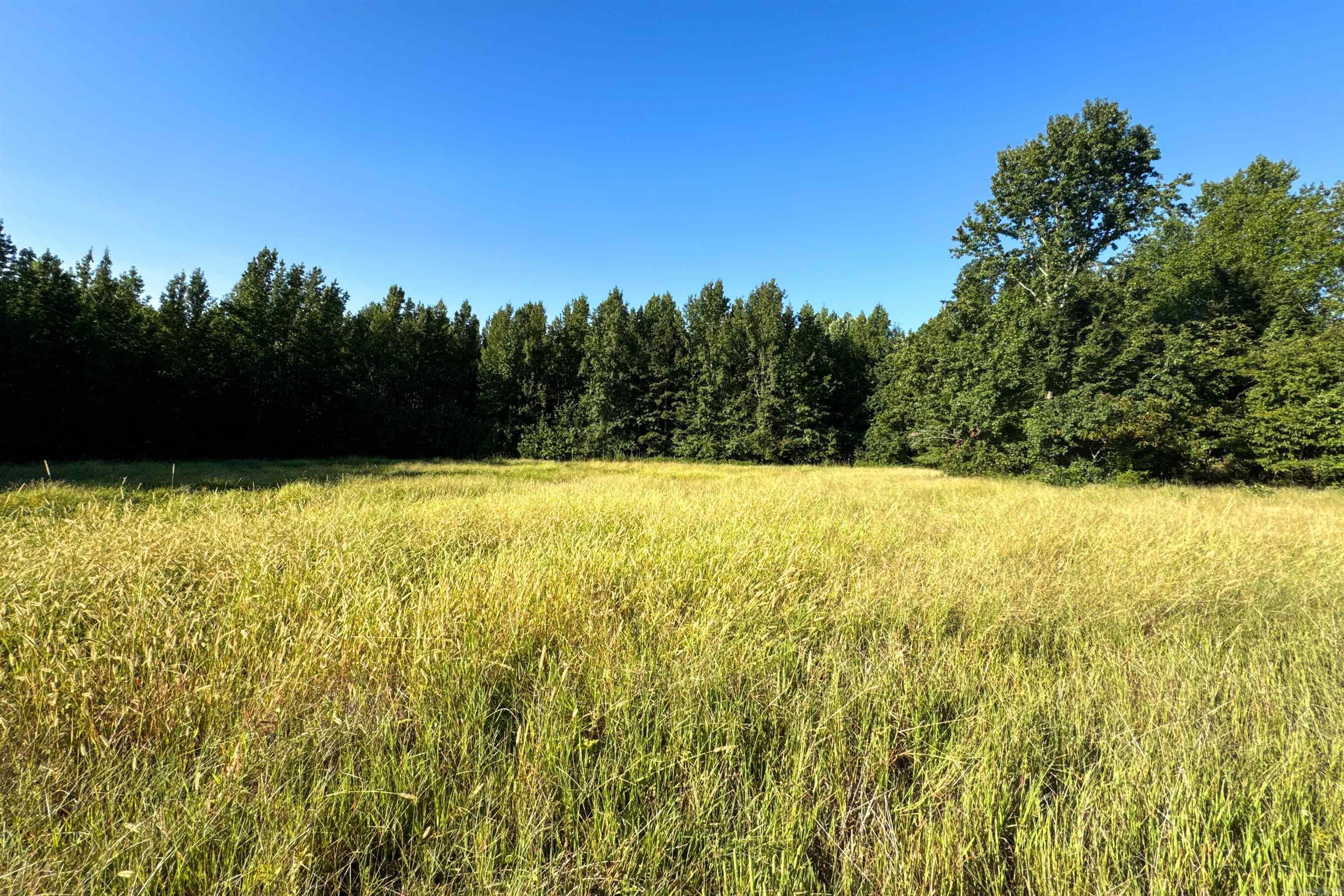 Photo 6 - Vacant Land for sale –   Clay County Rd. 408   Rector, AR