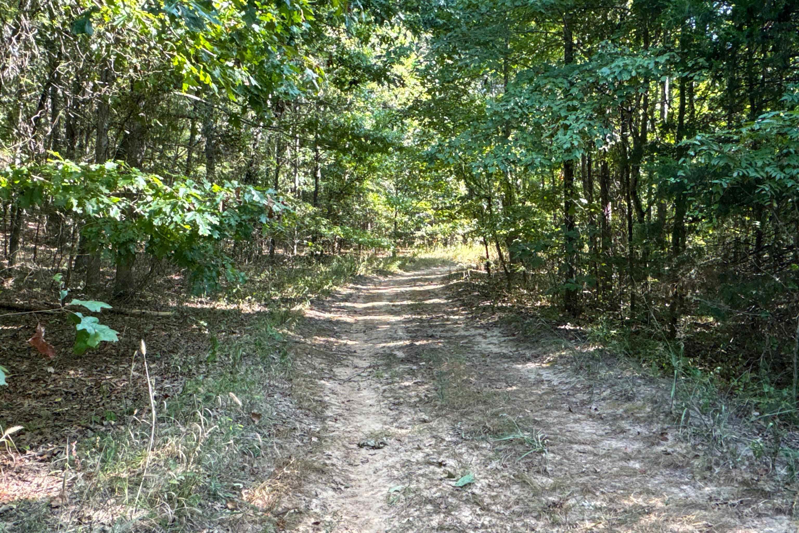Photo 8 - Vacant Land for sale –   Clay County Rd. 408   Rector, AR