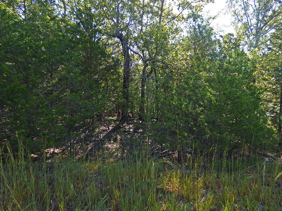 Vacant Land for sale –   Diamond Cove   Horseshoe Bend, AR