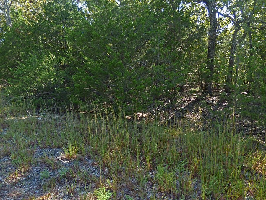 Photo 2 - Vacant Land for sale –   Diamond Cove   Horseshoe Bend, AR