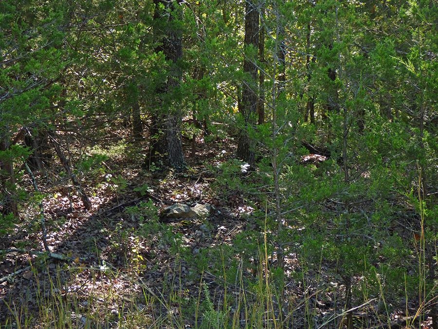 Photo 3 - Vacant Land for sale –   Diamond Cove   Horseshoe Bend, AR