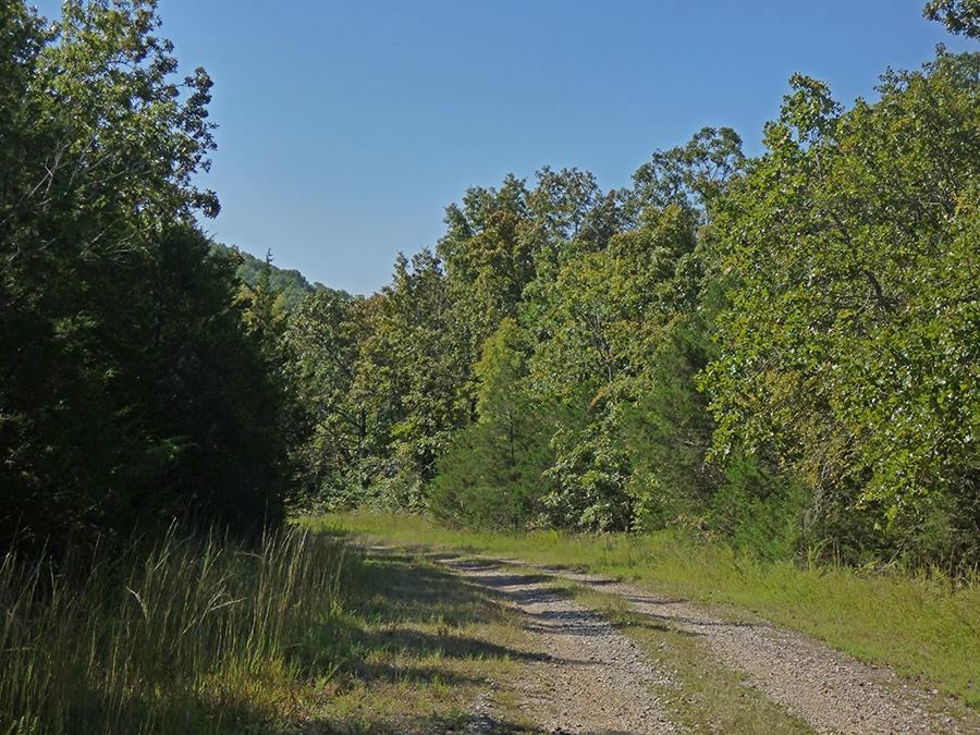 Photo 4 - Vacant Land for sale –   Diamond Cove   Horseshoe Bend, AR