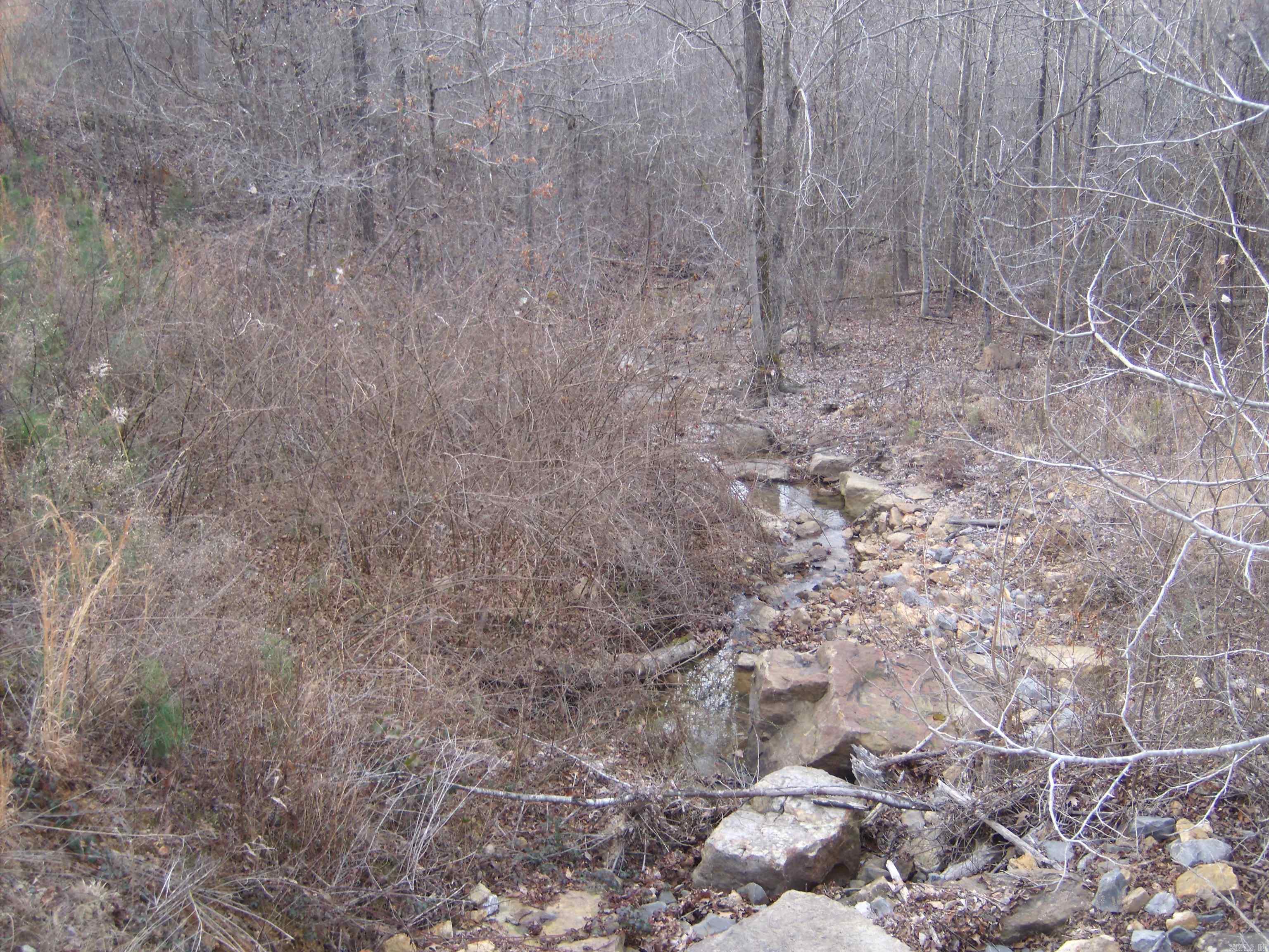 Concord AR Real Estate for Sale 00 Bullard Road MLS 24035035