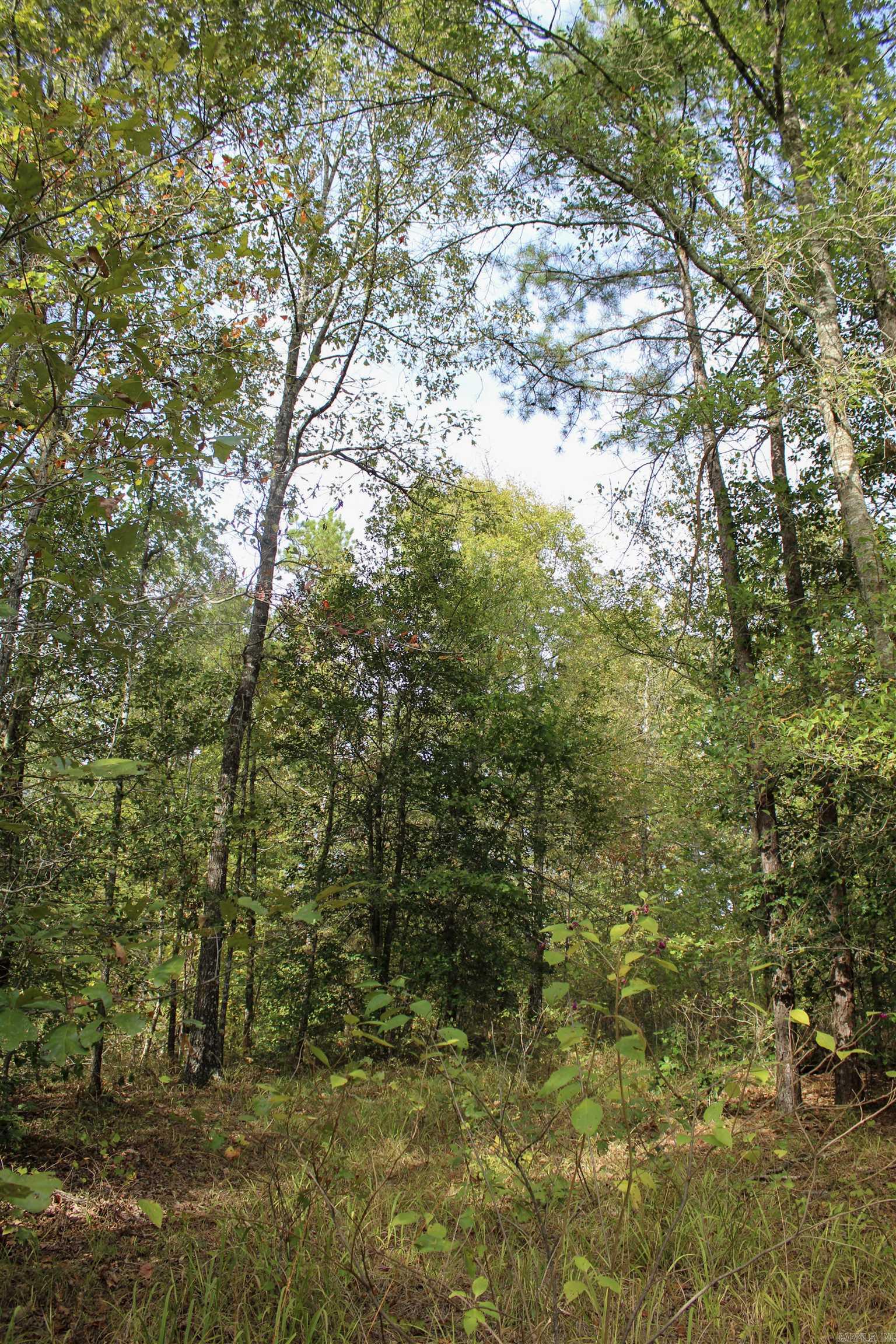 Farm/Ranch/Land for sale –  Hatfield, 