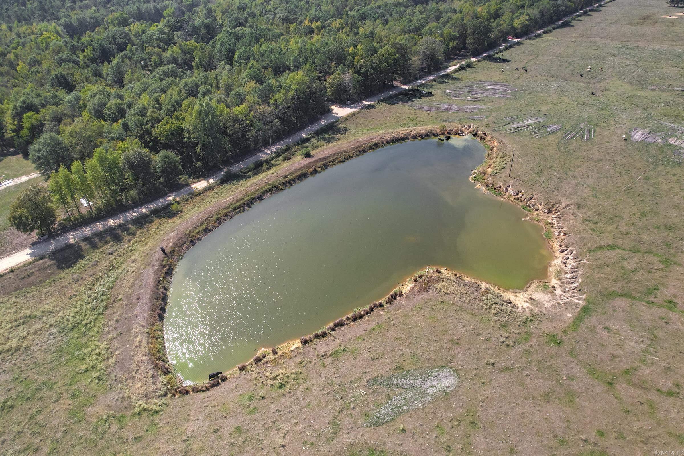 Photo 6 - Vacant Land for sale – 136  DALRYMPLE LOOP   Umpire, AR