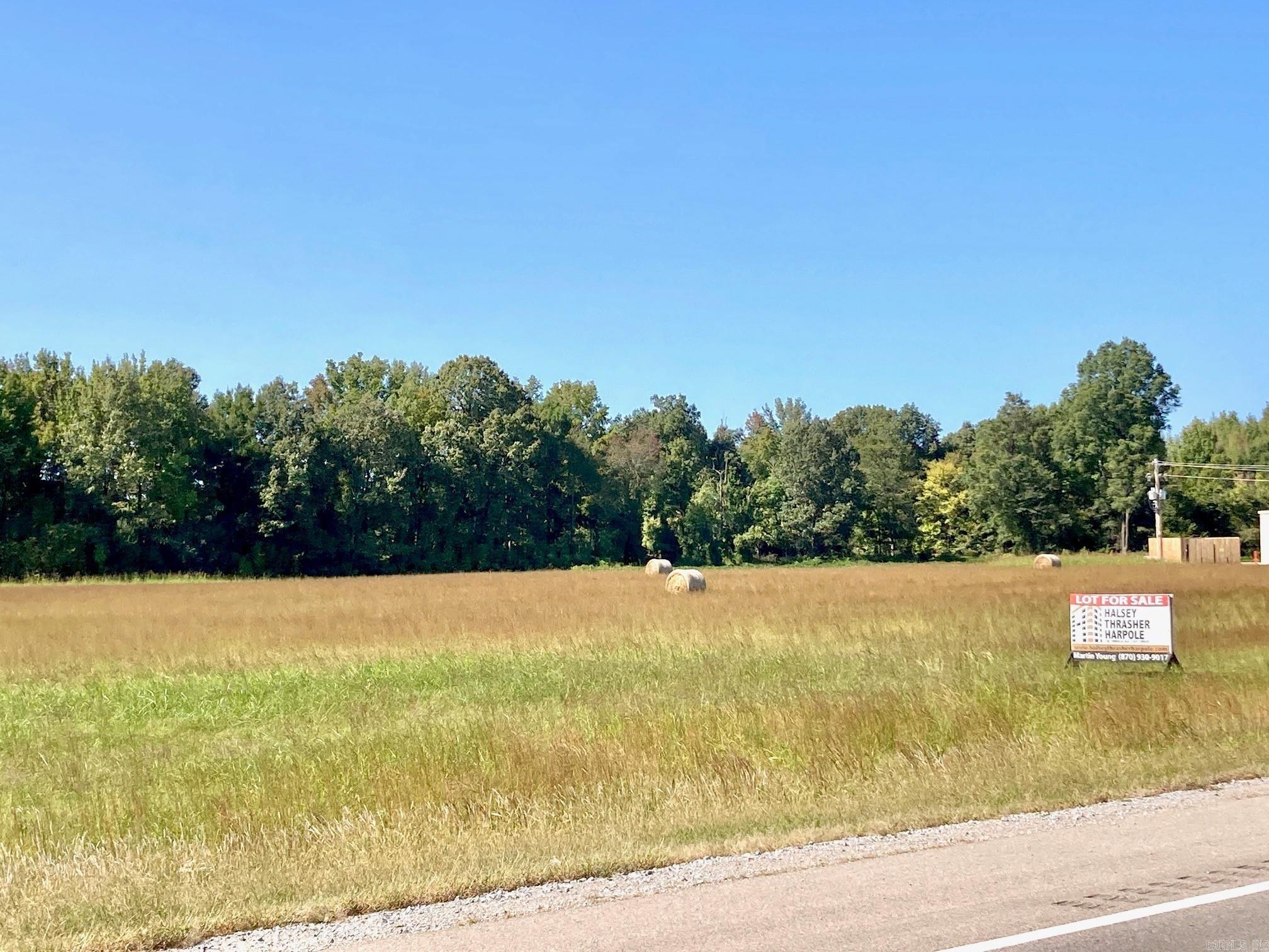 Photo 3 - Vacant Land for sale – 8261  U. S. 49   Brookland, AR