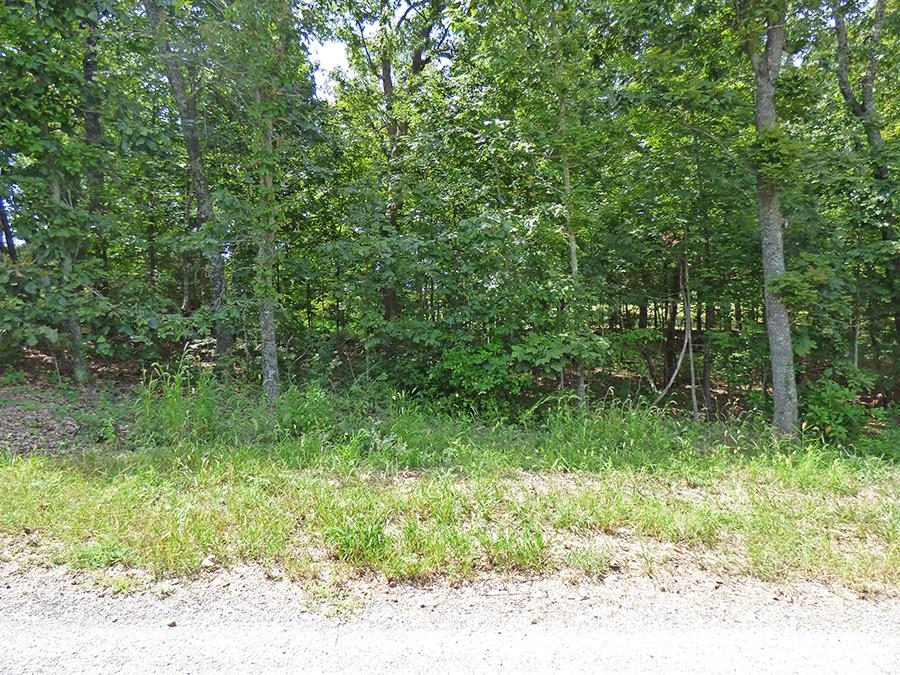 Photo 2 - Vacant Land for sale –   Katsina   Cherokee Village, AR