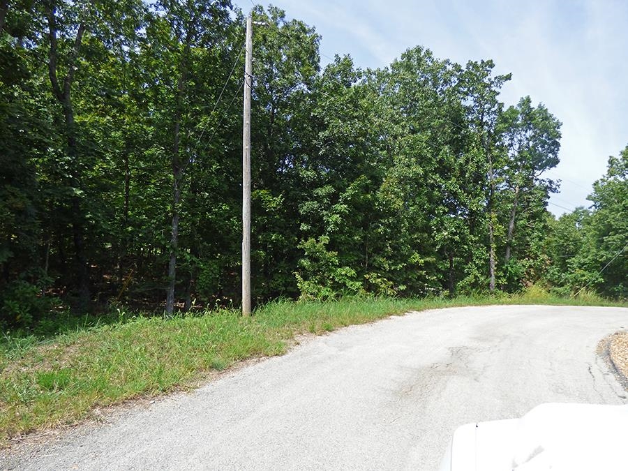 Photo 3 - Vacant Land for sale –   Katsina   Cherokee Village, AR